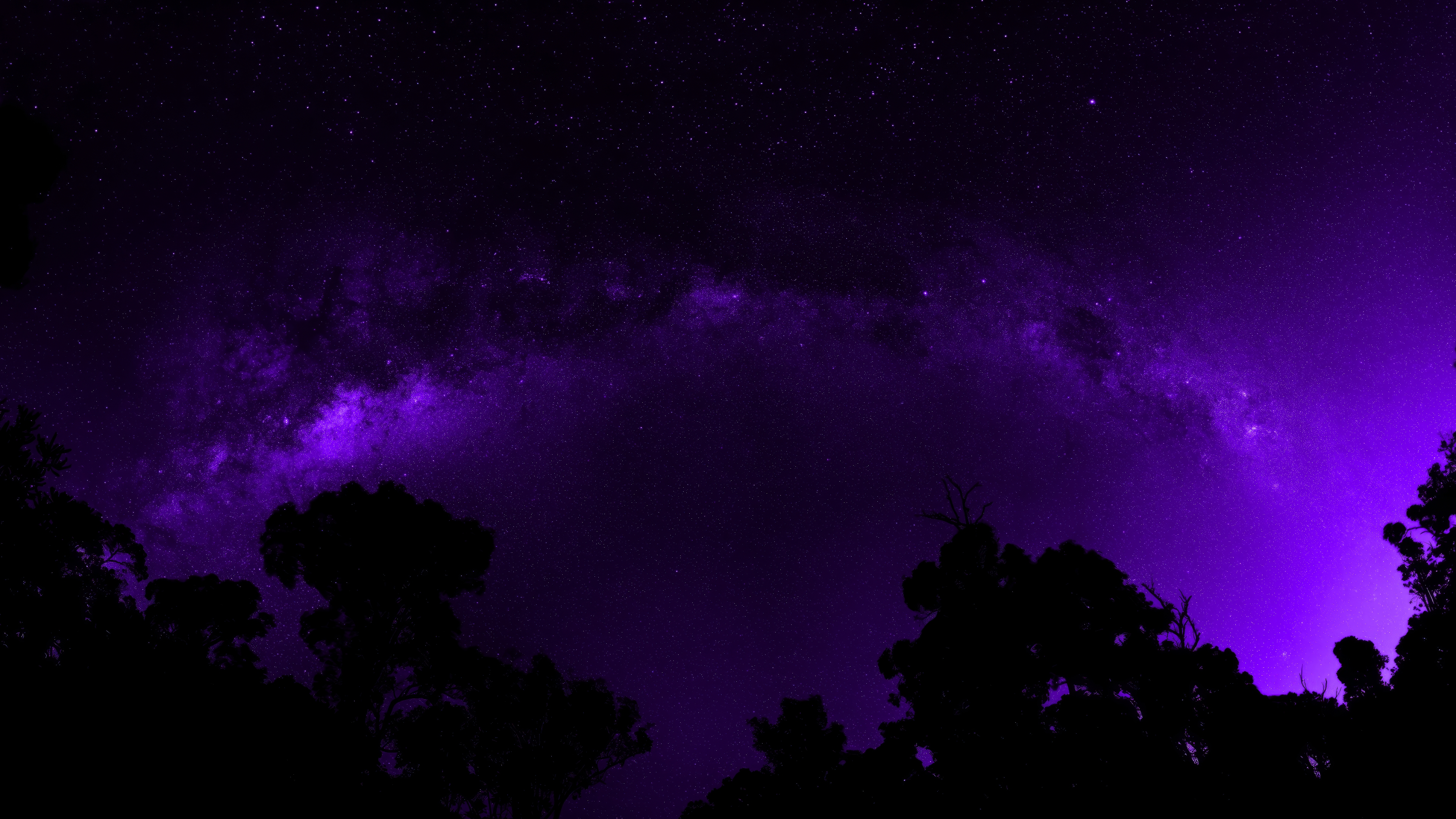 Silhouette Trees Galaxy Purple Background Purple Stars Digital Art 3840x2160