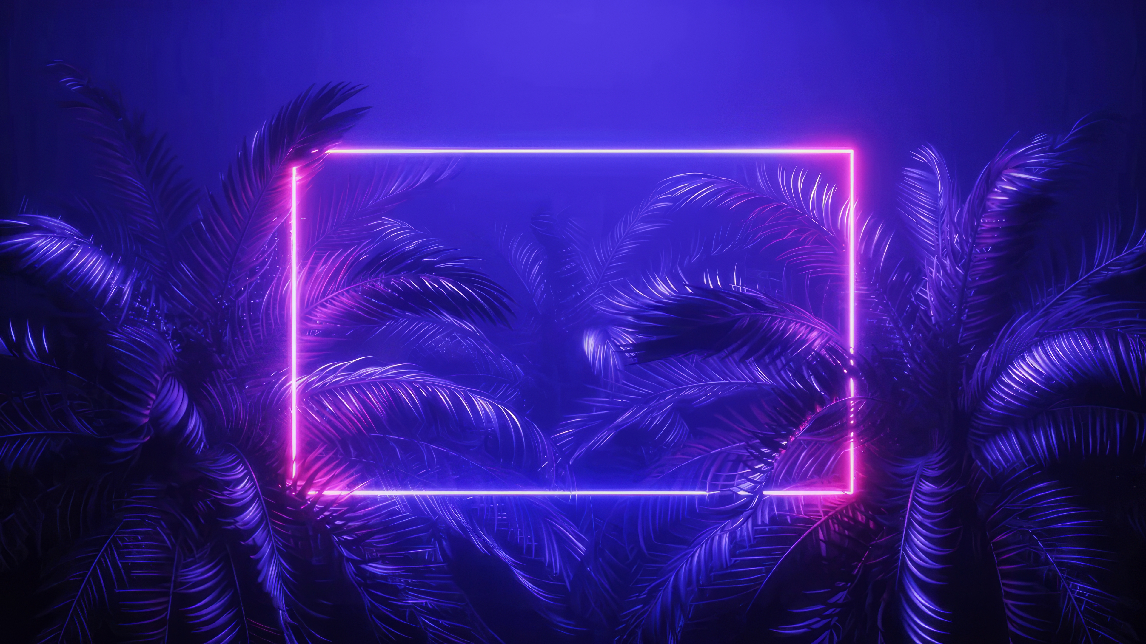 Blue Neon Palm Trees Rectangle Pink 3840x2160