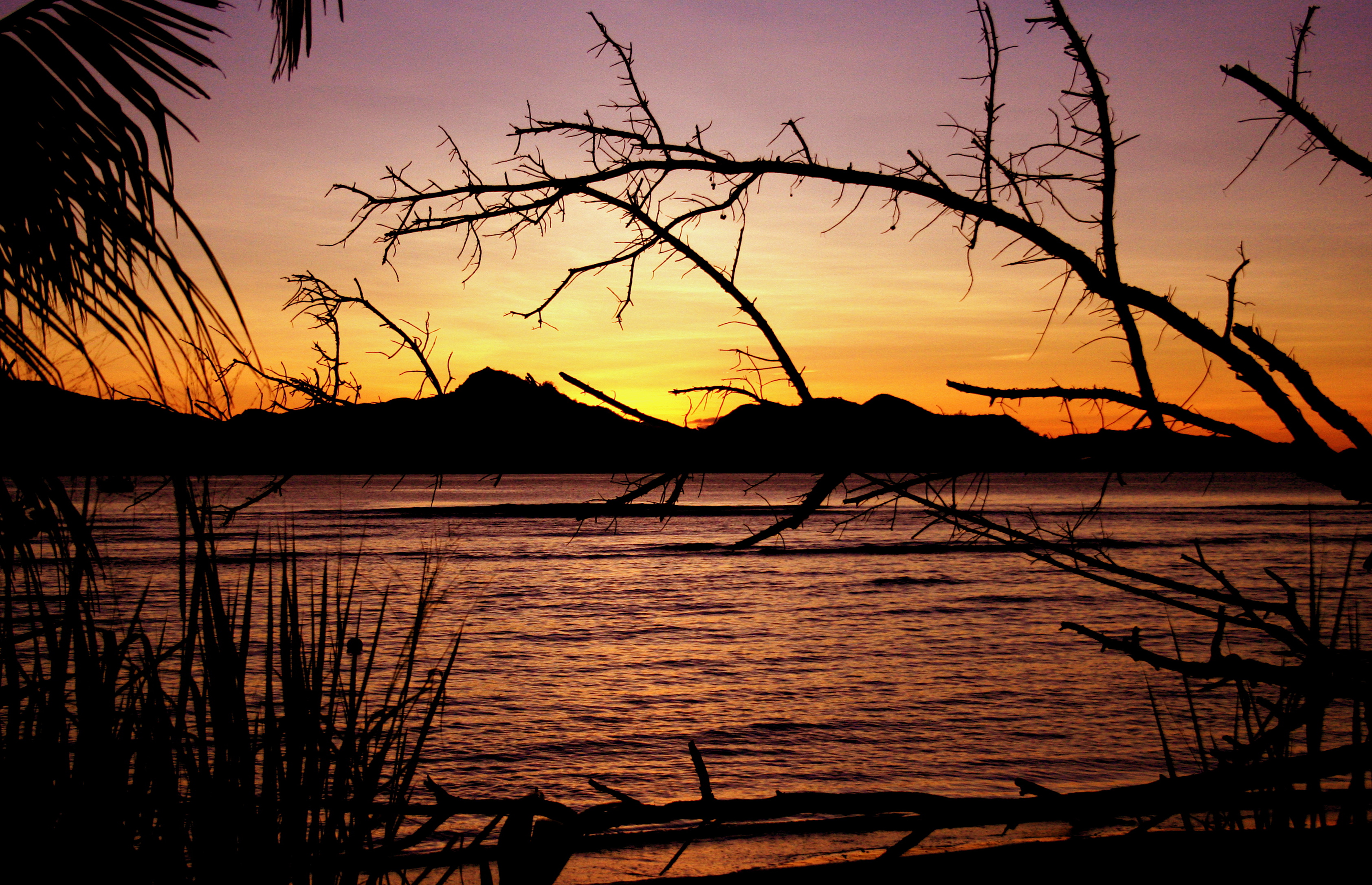 Sunset Seychelles La Digue Jessica Meckmann Landscape Water Branch Silhouette 3368x2174