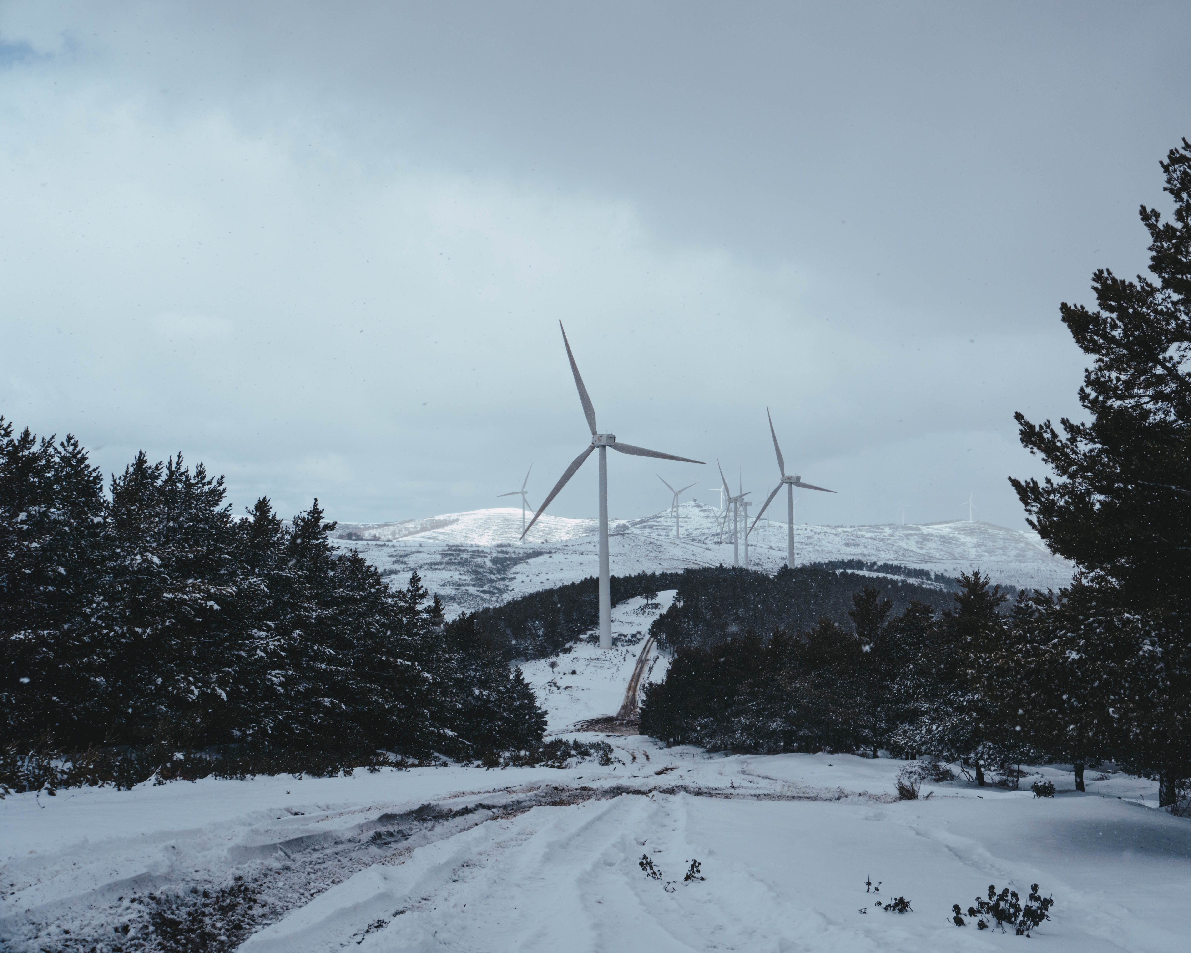 Wind Turbine Nature Forest Winter Mountain View Landscape 5000x4000