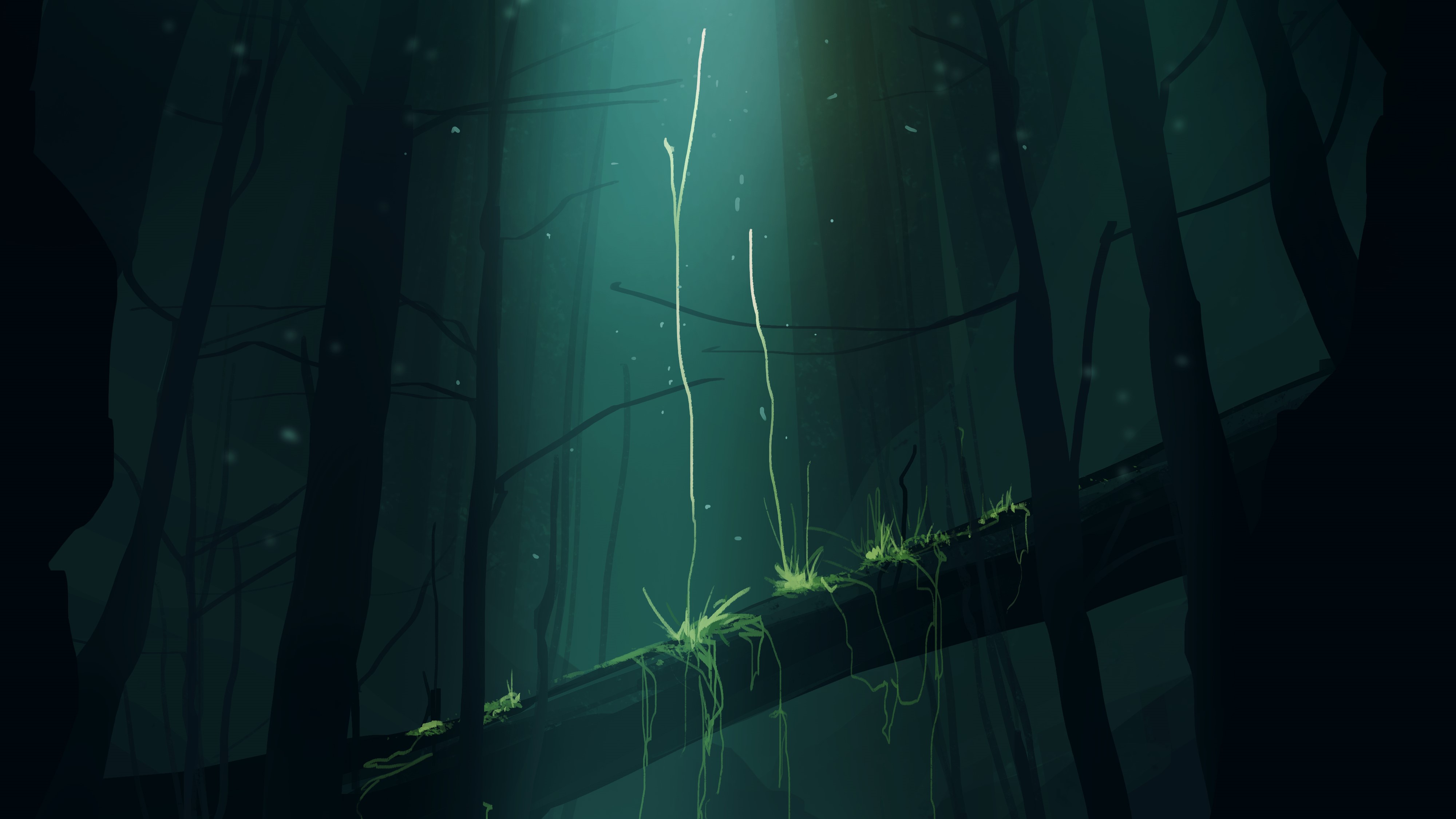 Gracile Beam Of Light Beam Vines Forest Dark Digital Art Artwork 4000x2250