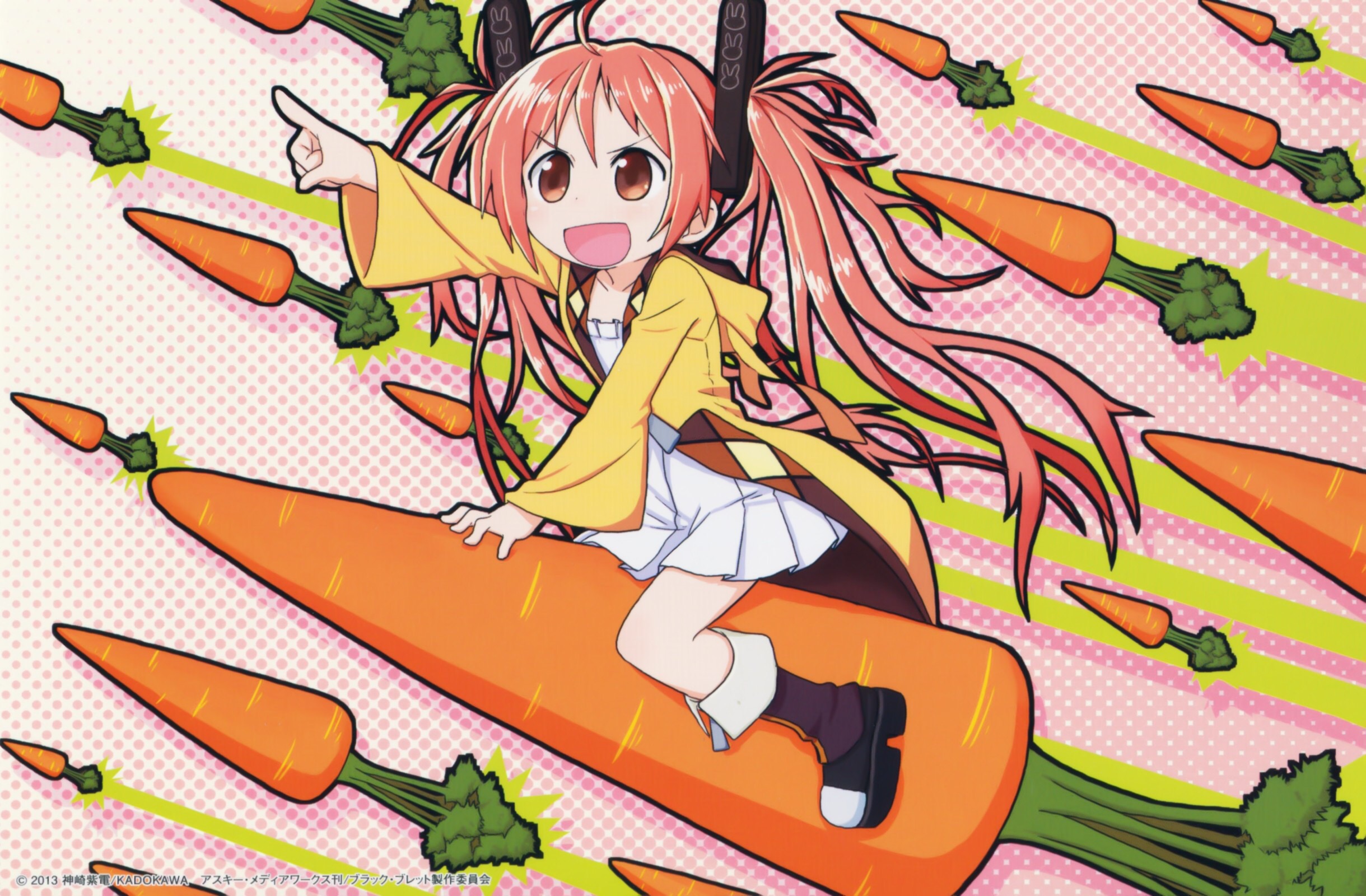 Anime Black Bullet 2439x1600