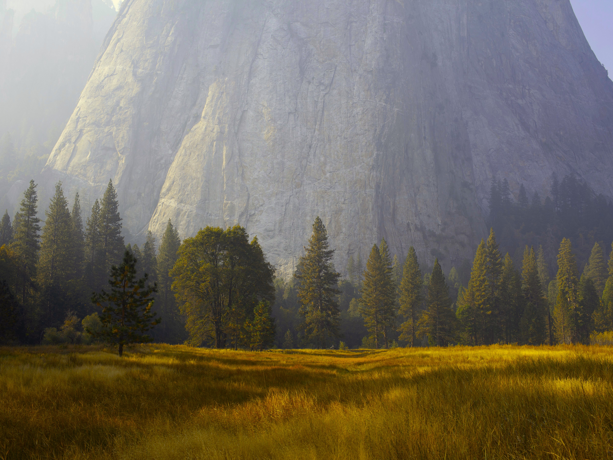 Nature Landscape Trees Grass Mountains Fog Yosemite National Park California USA 2560x1920