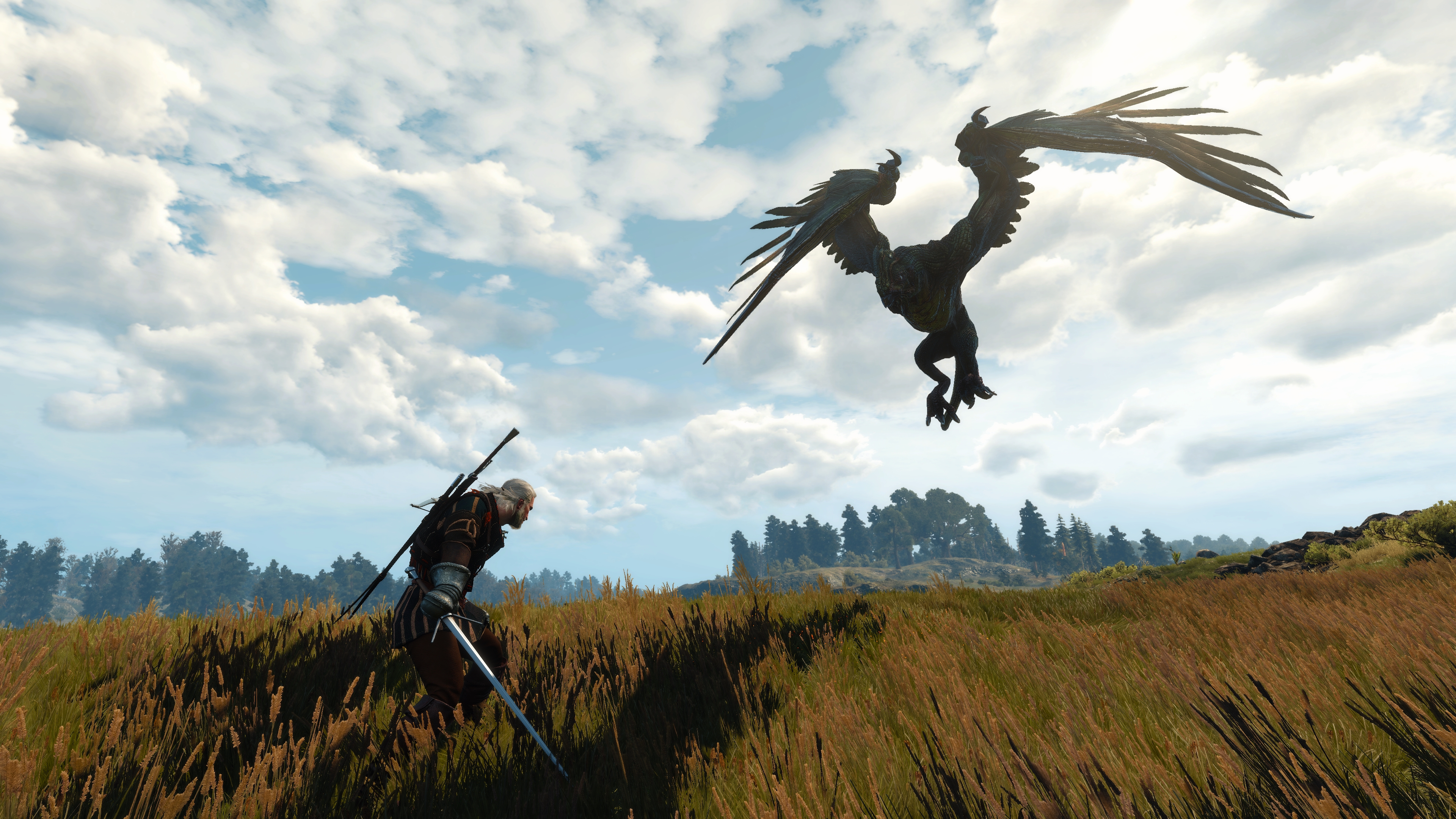The Witcher 3 Wild Hunt Screen Shot Video Games The Witcher CD Projekt RED Geralt Of Rivia Book Char 3840x2160