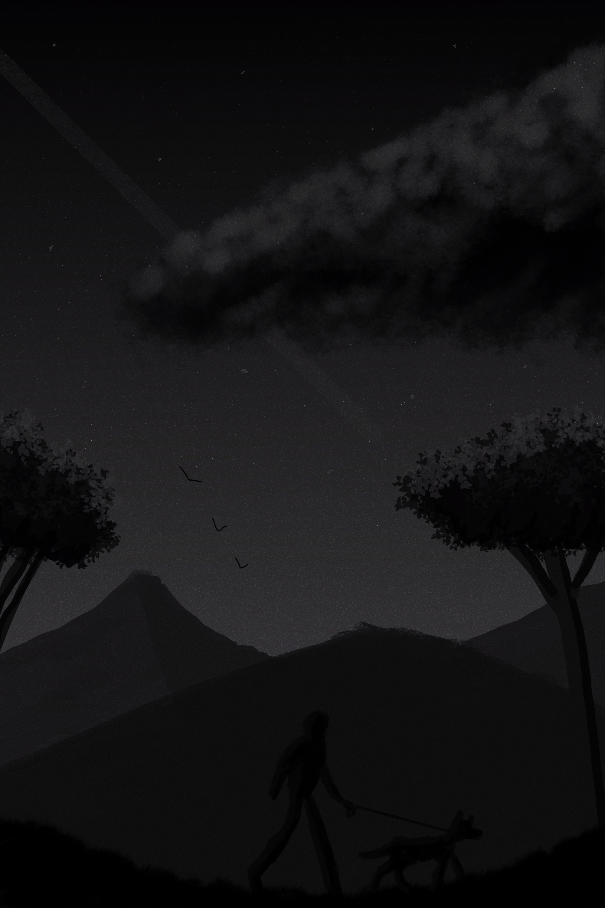 Night Stars Dog Men Trees Fog Birds Street Light Mountains 2000x3000