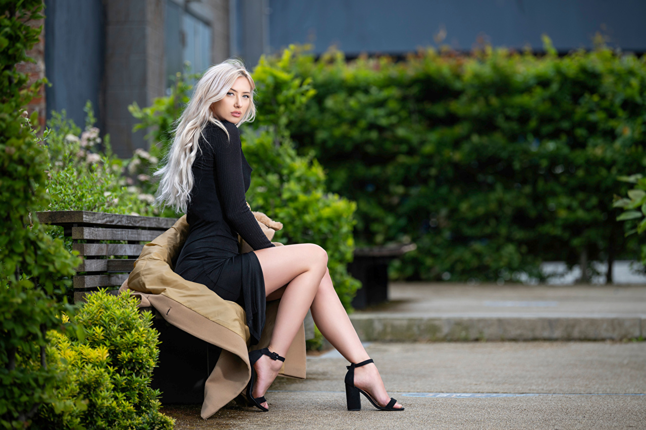 Women Model High Heels Looking At Viewer Black Dress White Hair Sitting Legs Blonde Women Outdoors 1280x853