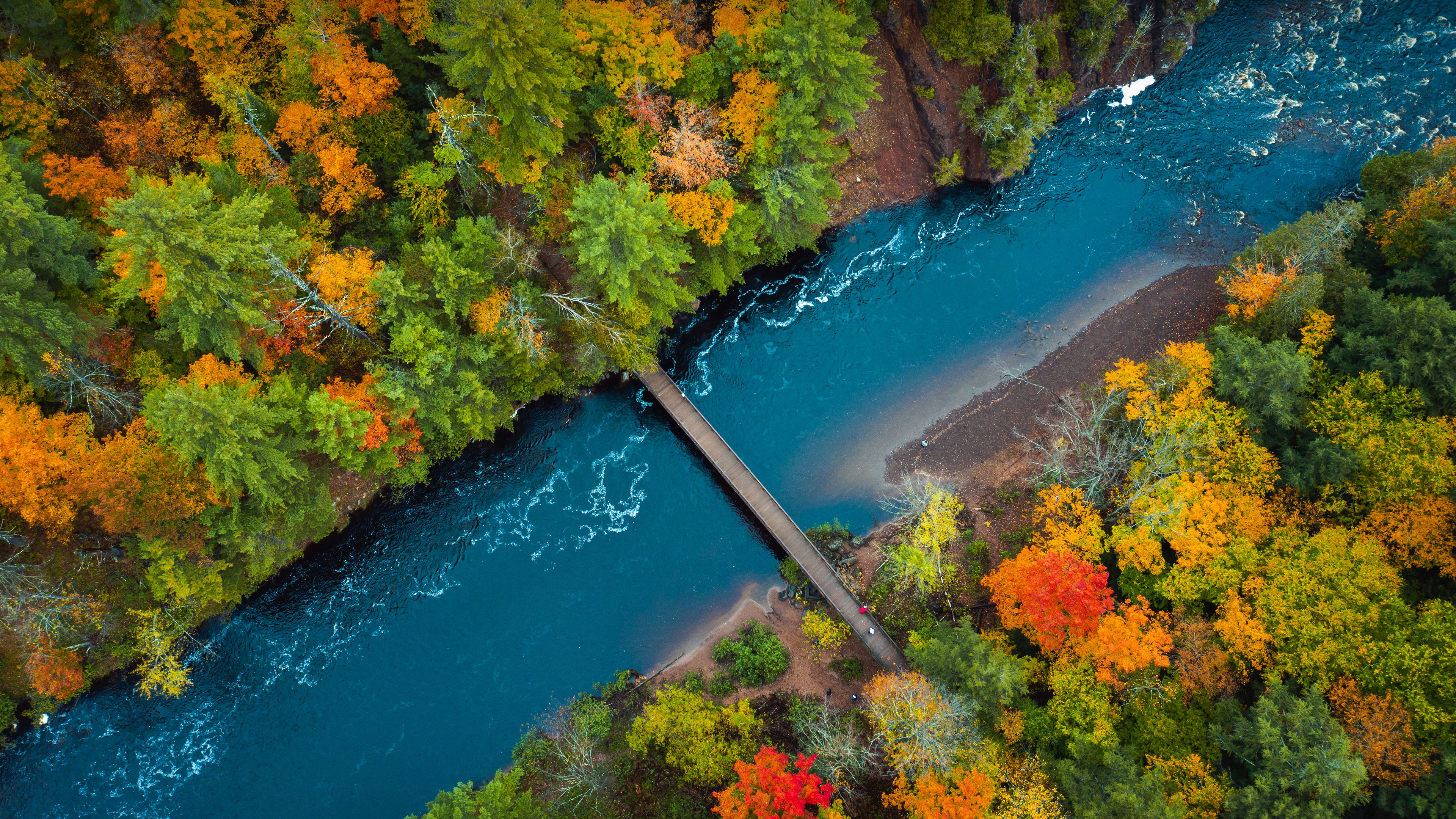 River Forest Bridge Landscape Nature Aerial View Fall 3840x2160