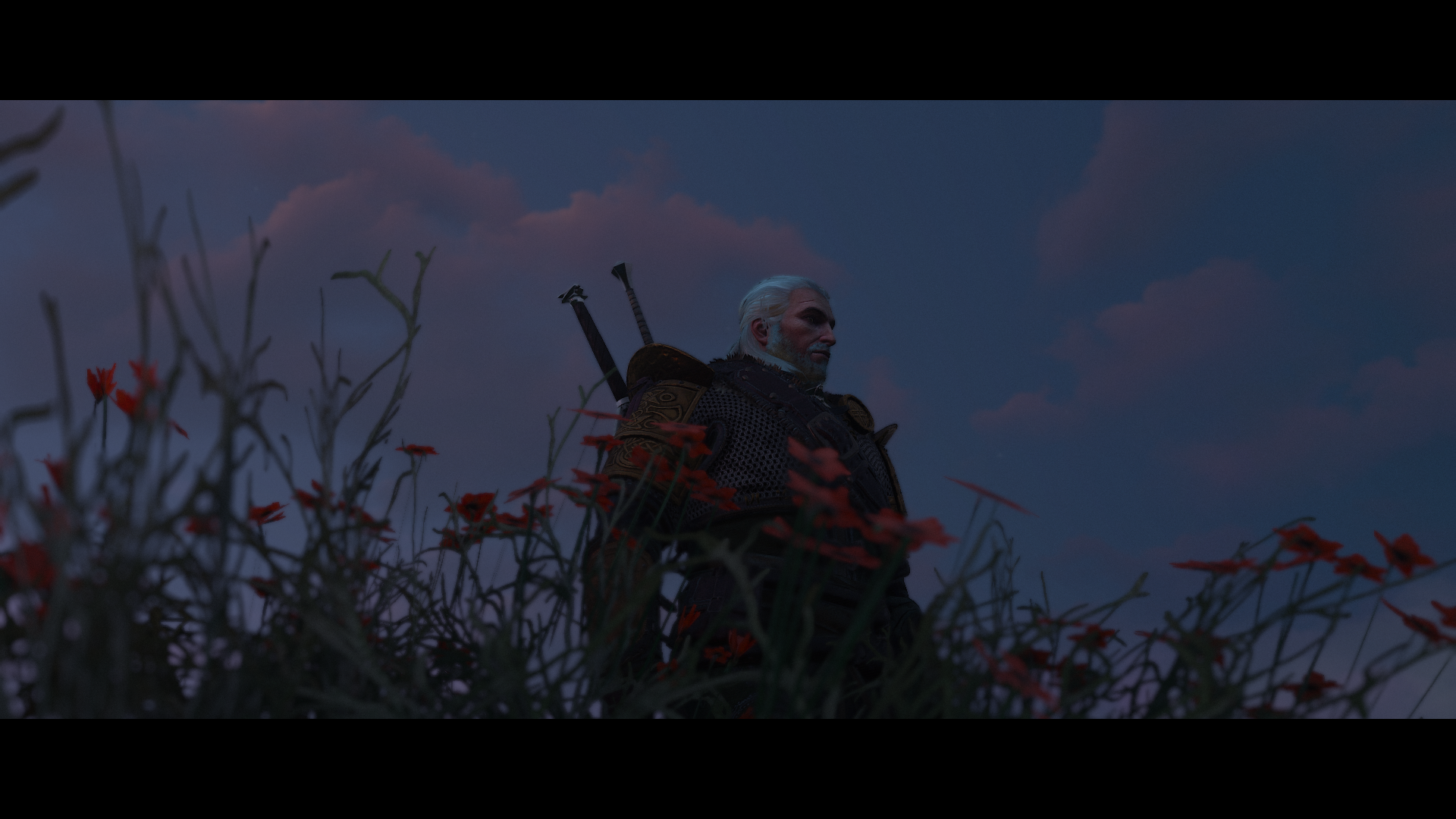 The Witcher 3 Wild Hunt Screen Shot Geralt Of Rivia Video Games Video Game Characters Book Character 1920x1080