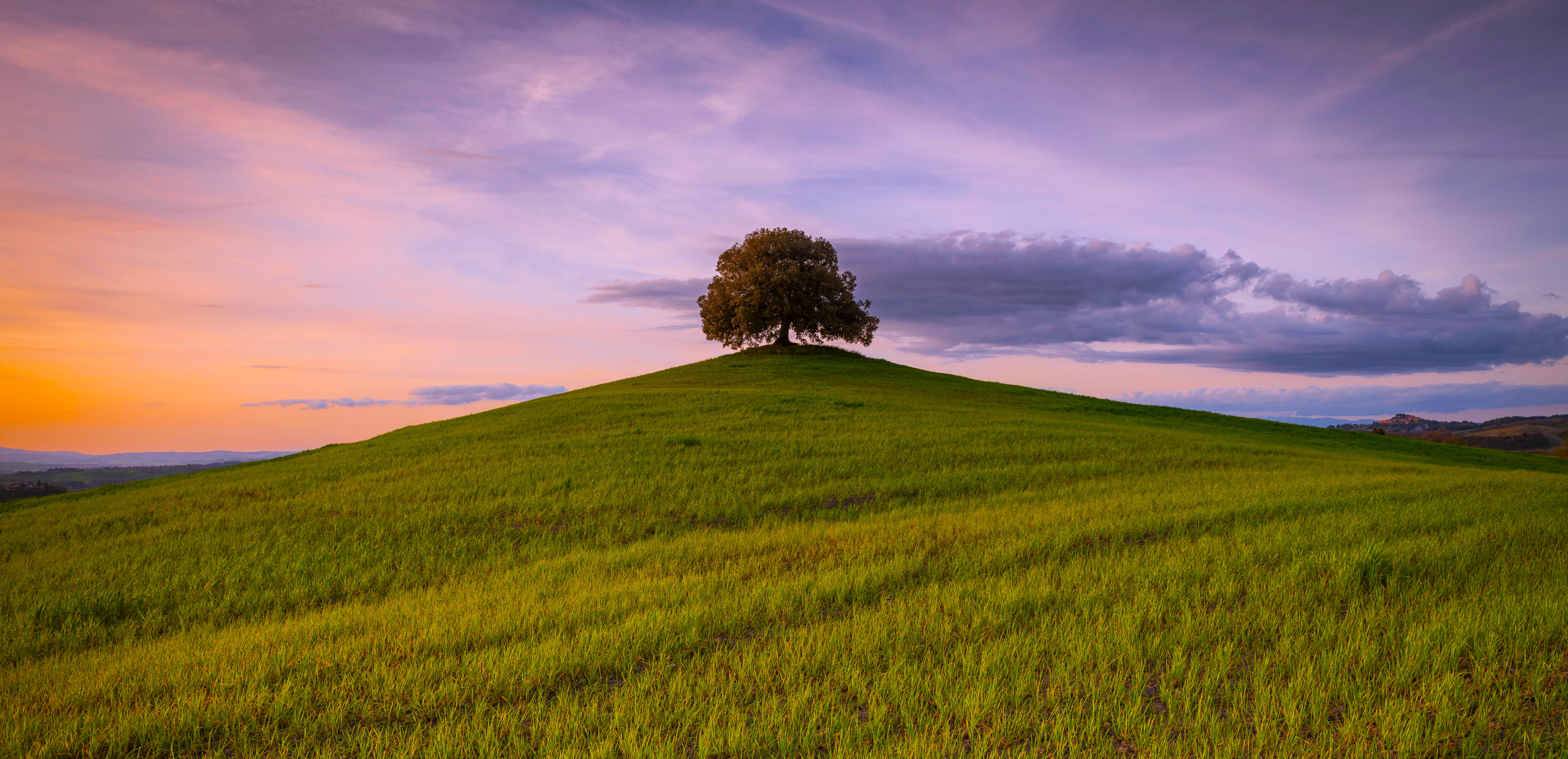 Nature Landscape Trees Grass Field Clouds Sky Sunrise Tuscany Italy 6200x3000