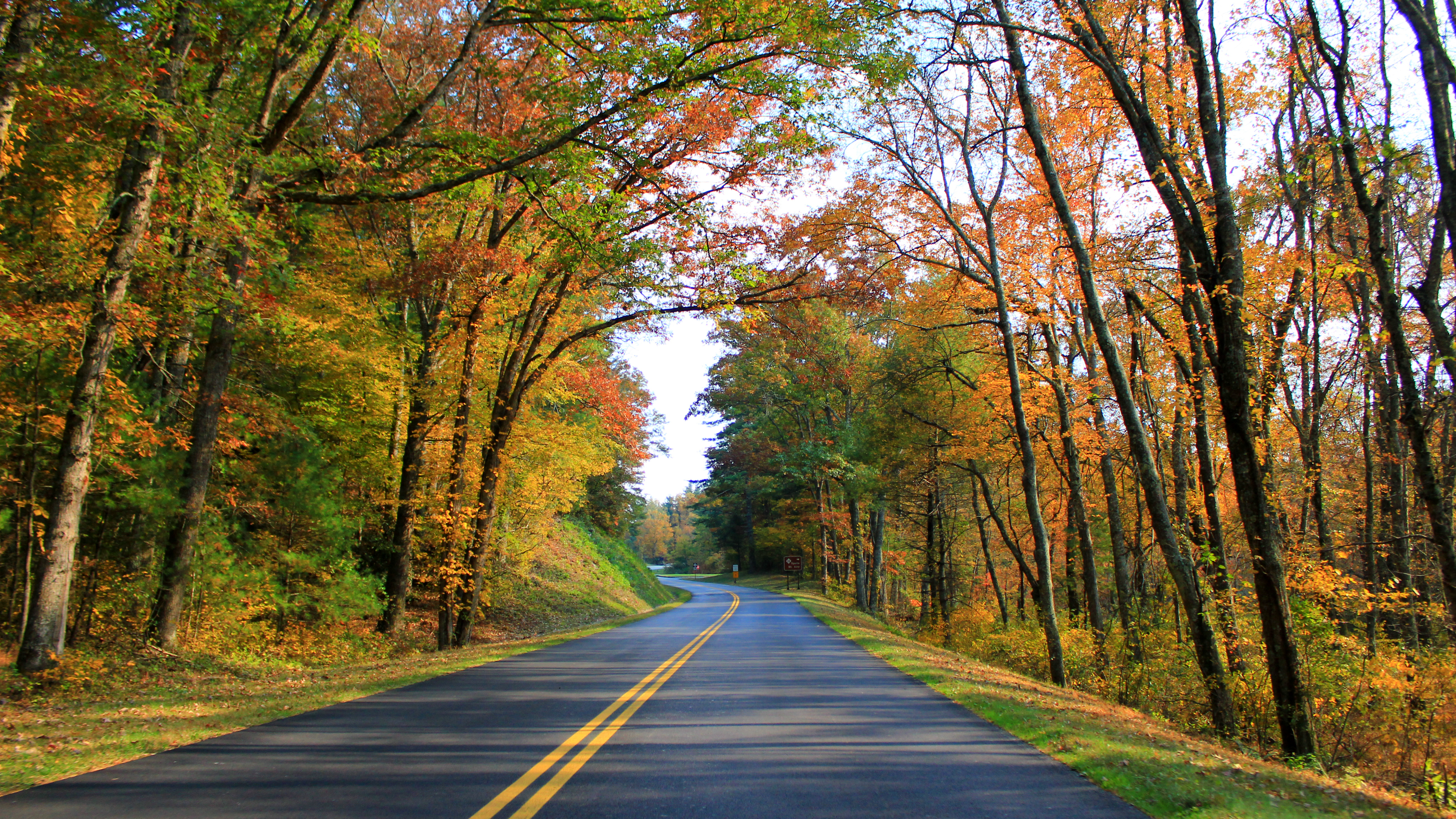 Nature Trees Leaves Branch Road Asphalt Fallen Leaves Fall Sign Post Signboard 3840x2160