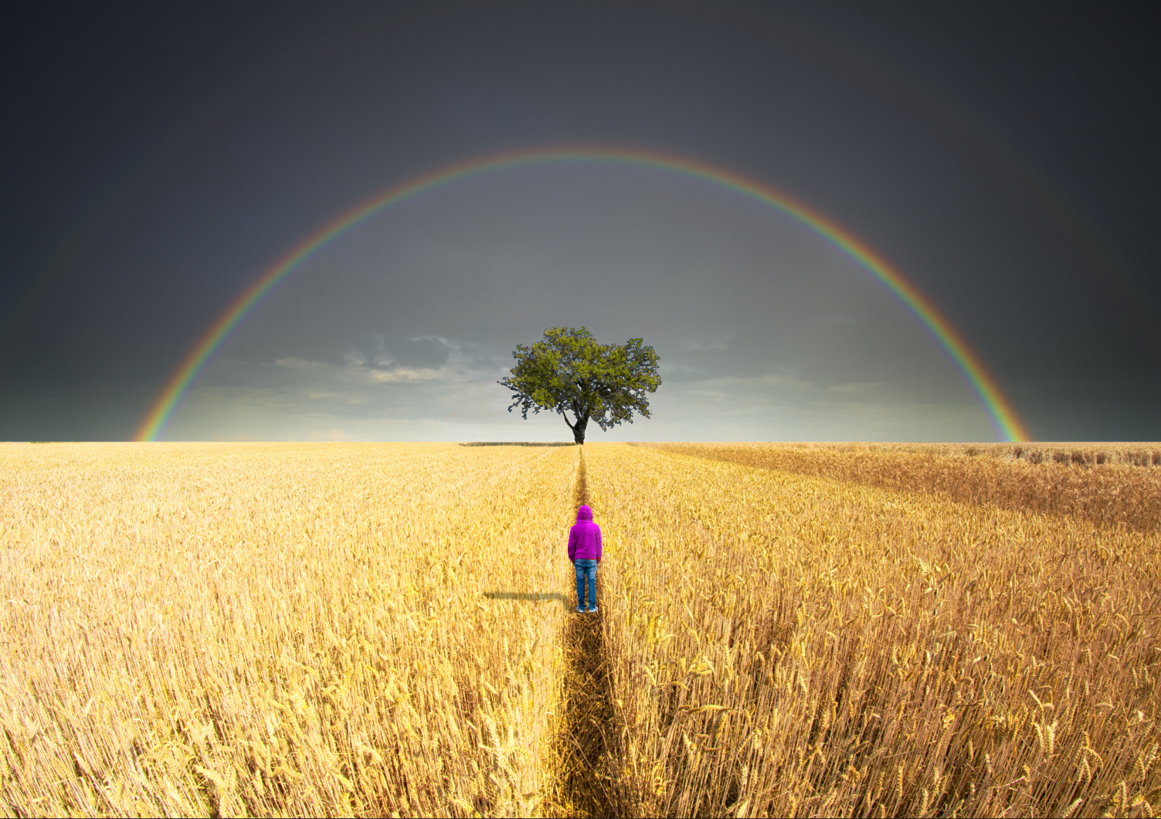 Golden Antonio Landscape Field Horizon Rainbows Trees 1652x1165