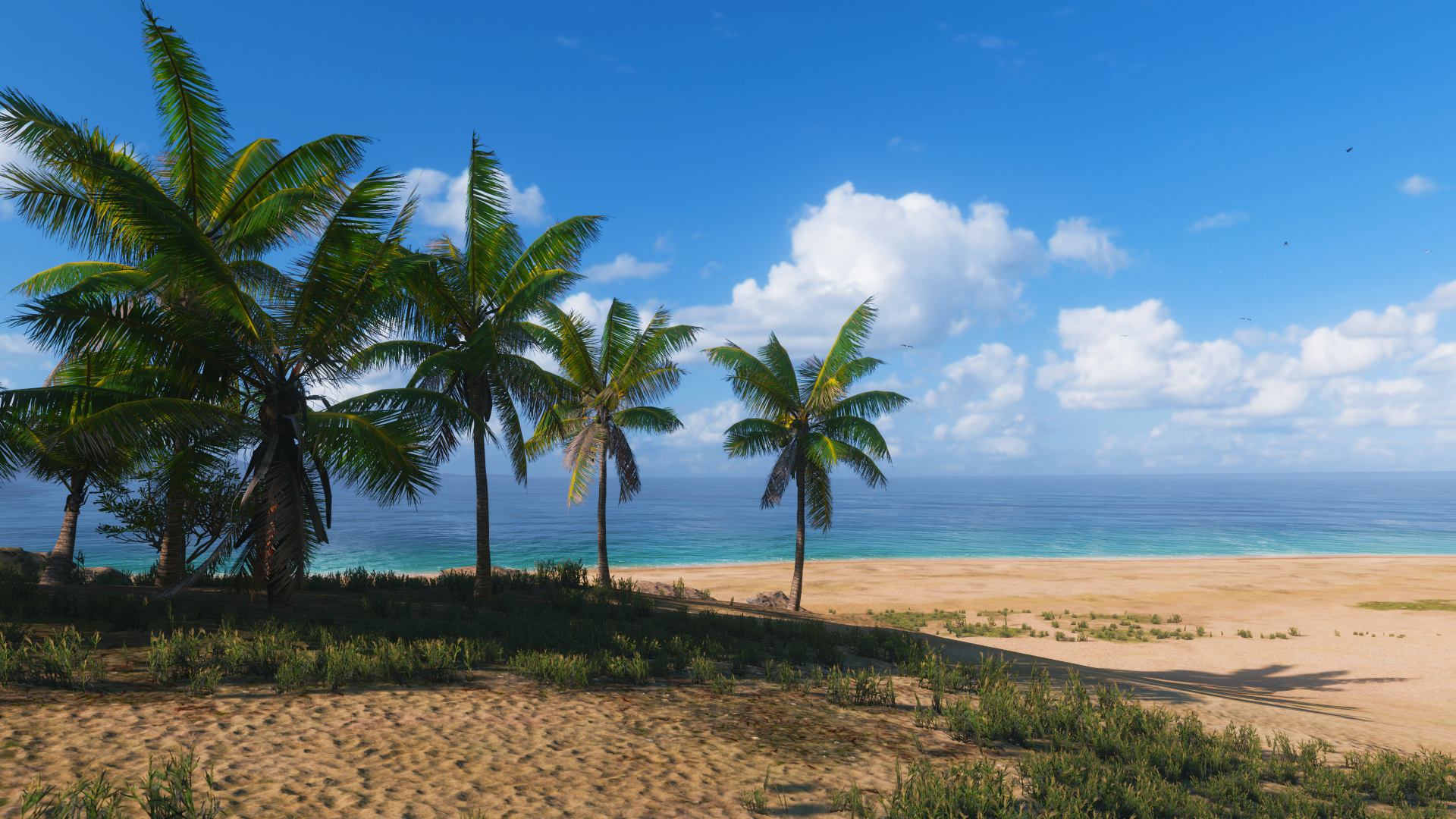 Video Games Forza Forza Horizon 5 Sky Sea Beach Palm Trees Clouds 1920x1080