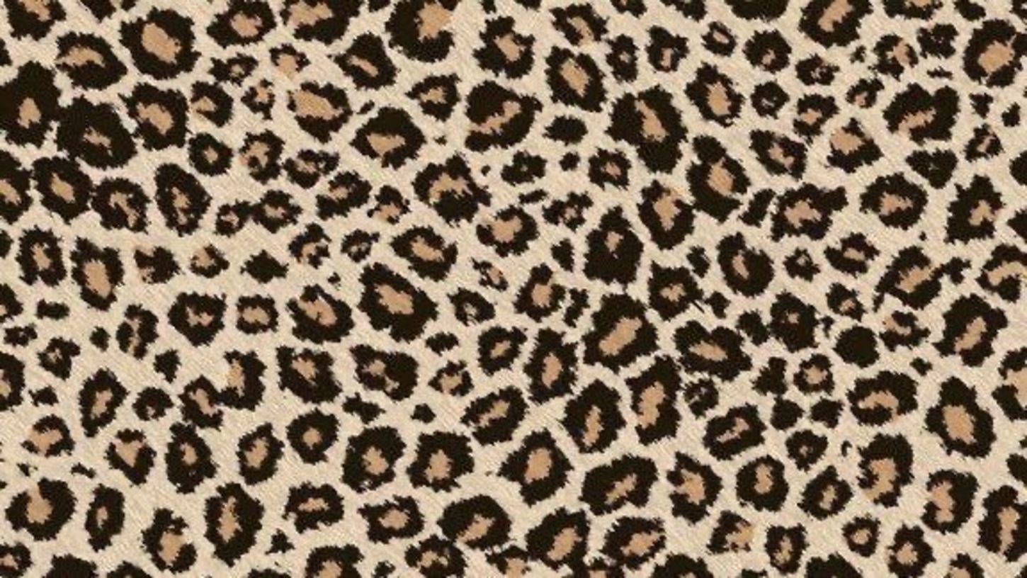 Girly Cheetah 1450x816