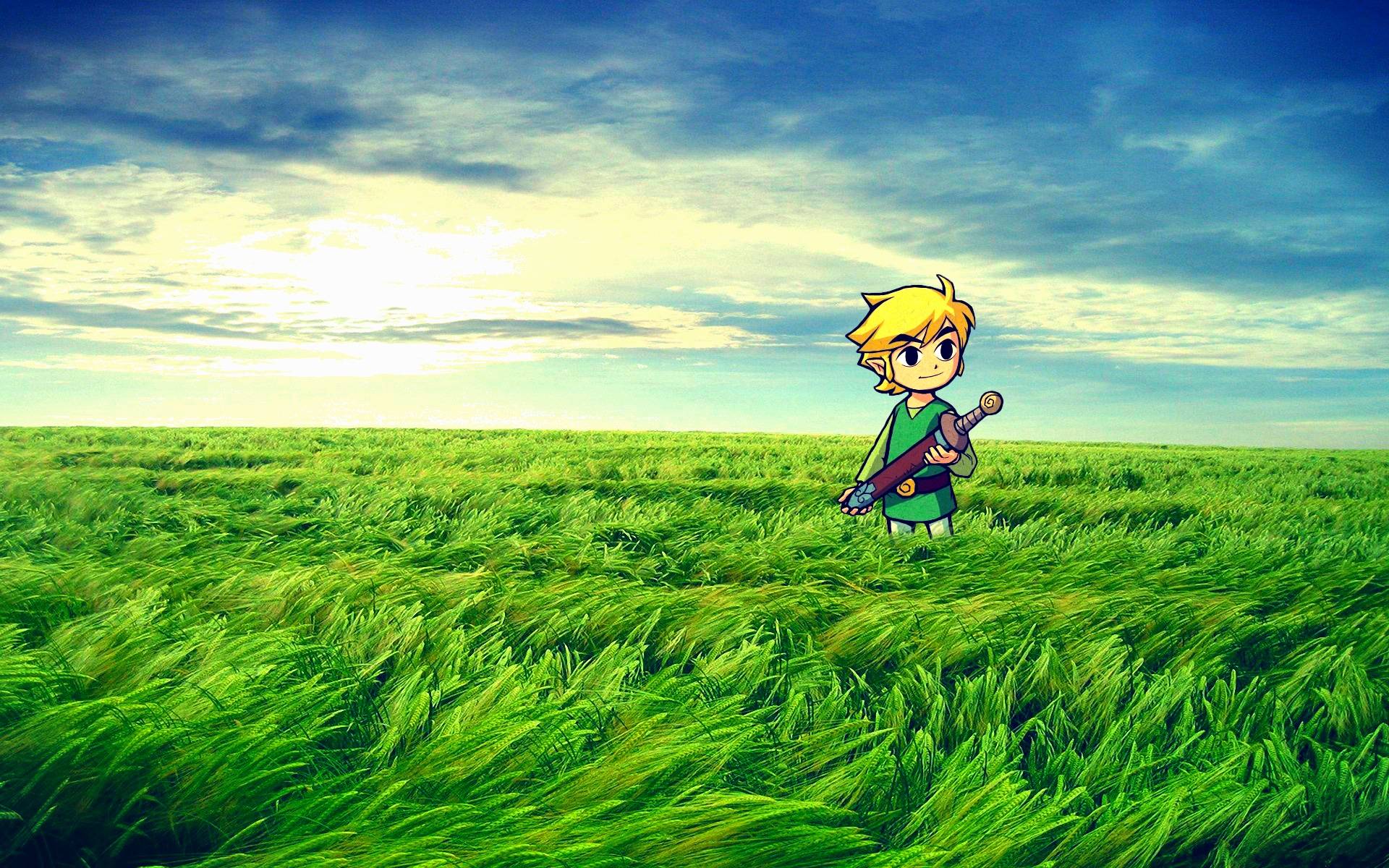 The Legend Of Zelda Link 1920x1200