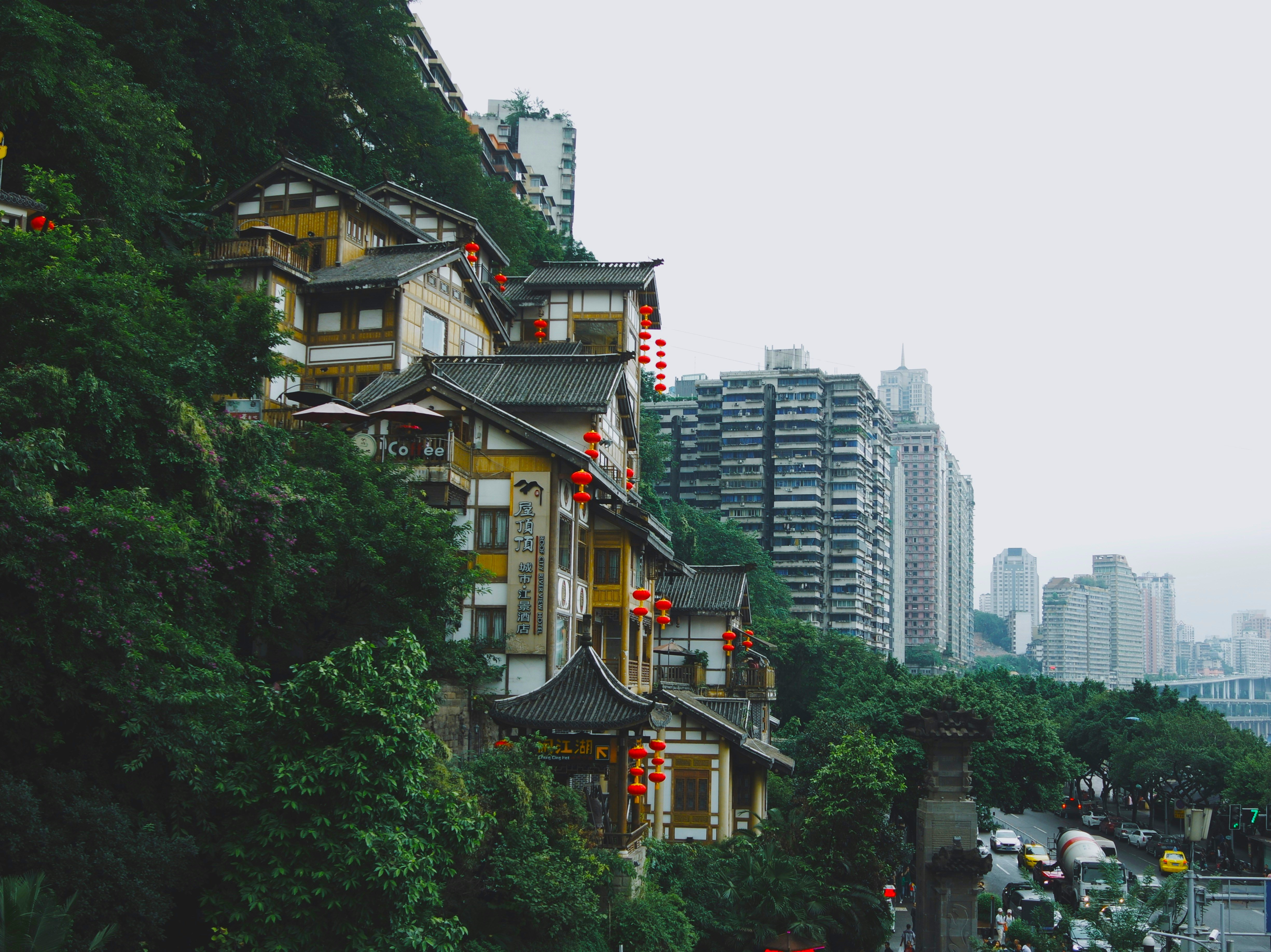 Urban Trees Leaves Flowers Pink Flowers Building Road Truck Car Temple Town ChongQing China 4901x3671