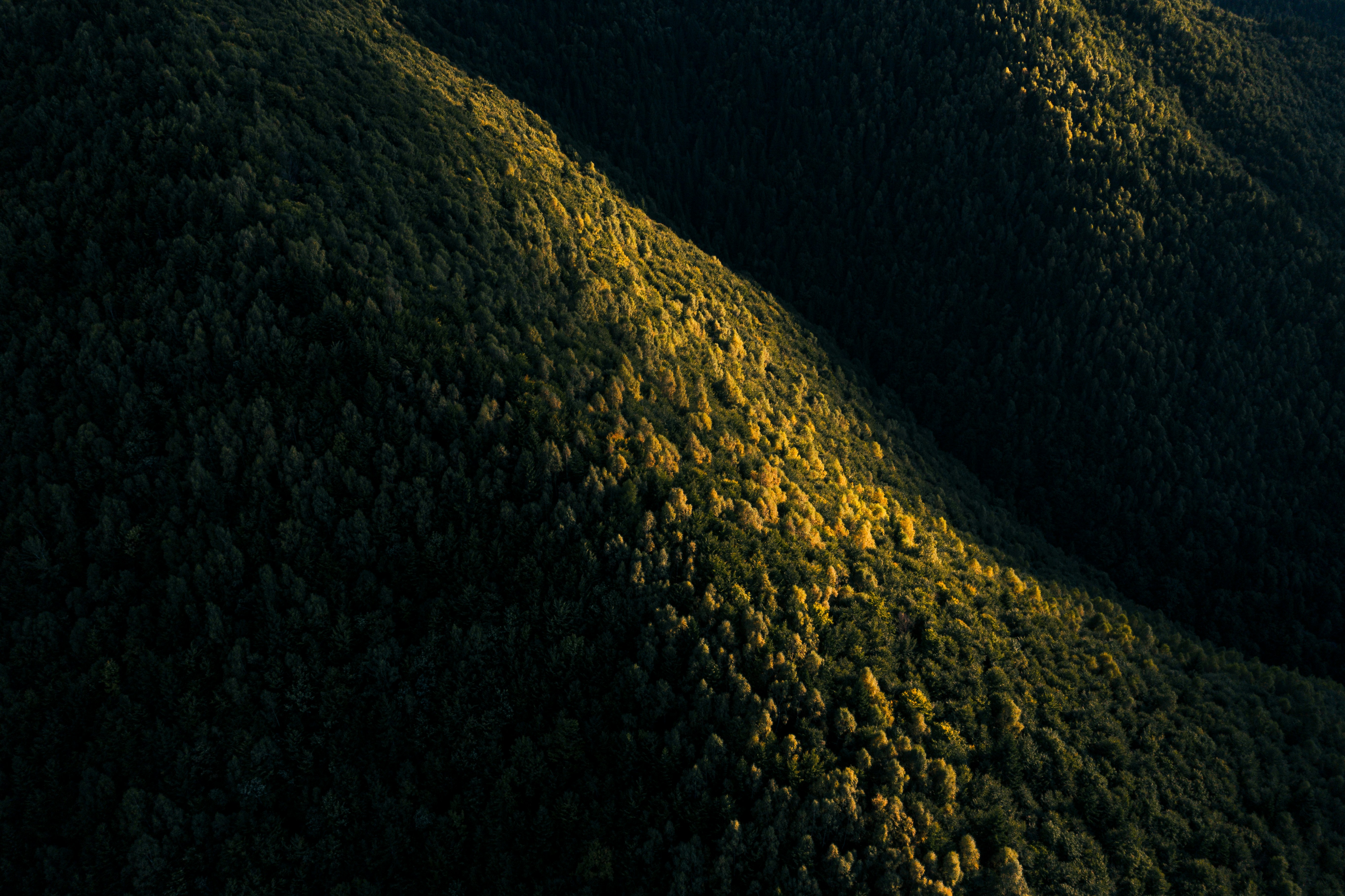 Nature Landscape Trees Forest Sunlight Mountains Pine Trees Sunrise Drone Photo Aerial View Romania  5464x3640