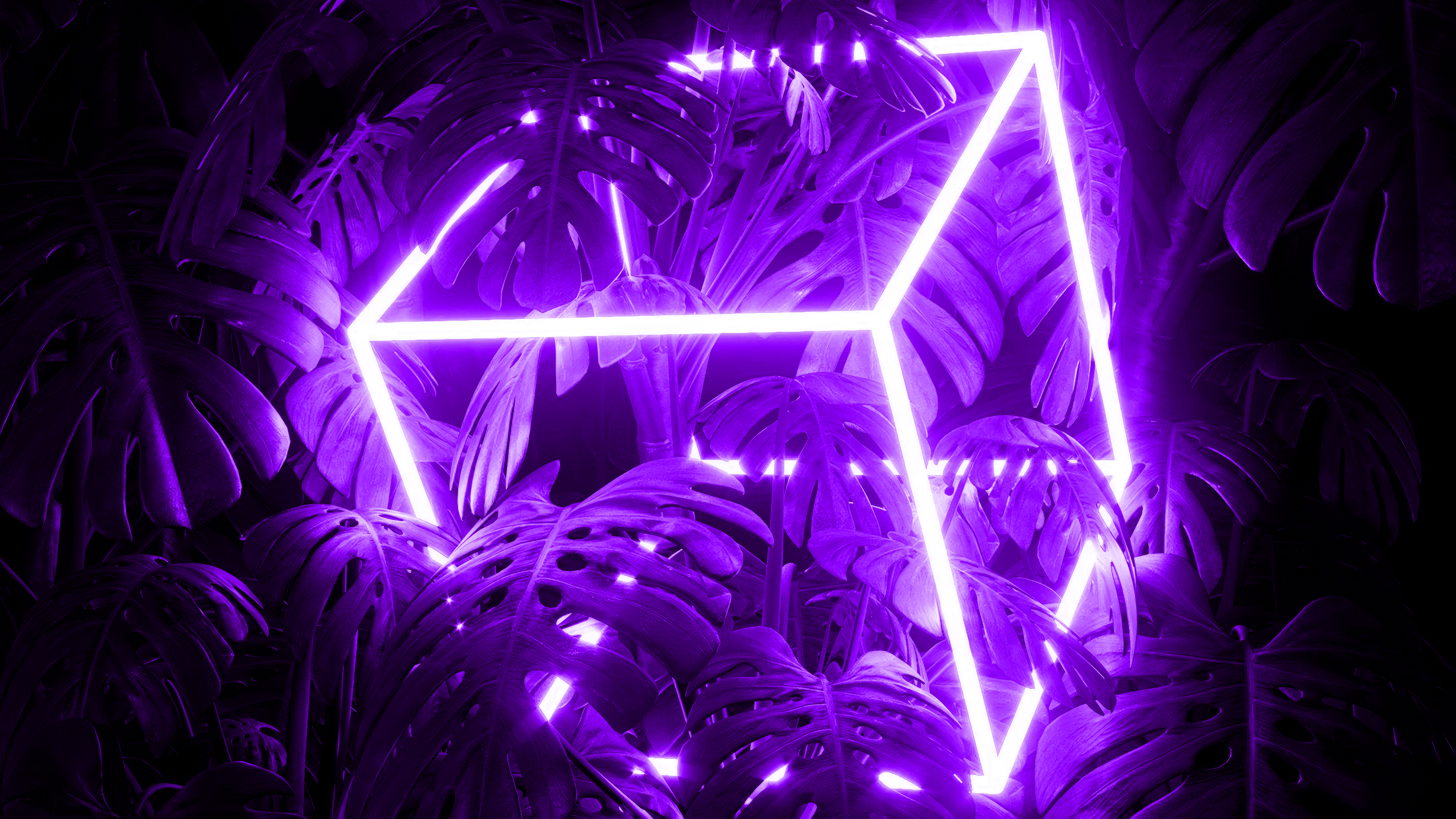 Cube Neon Lights Purple Leaves Bright 5120x2880