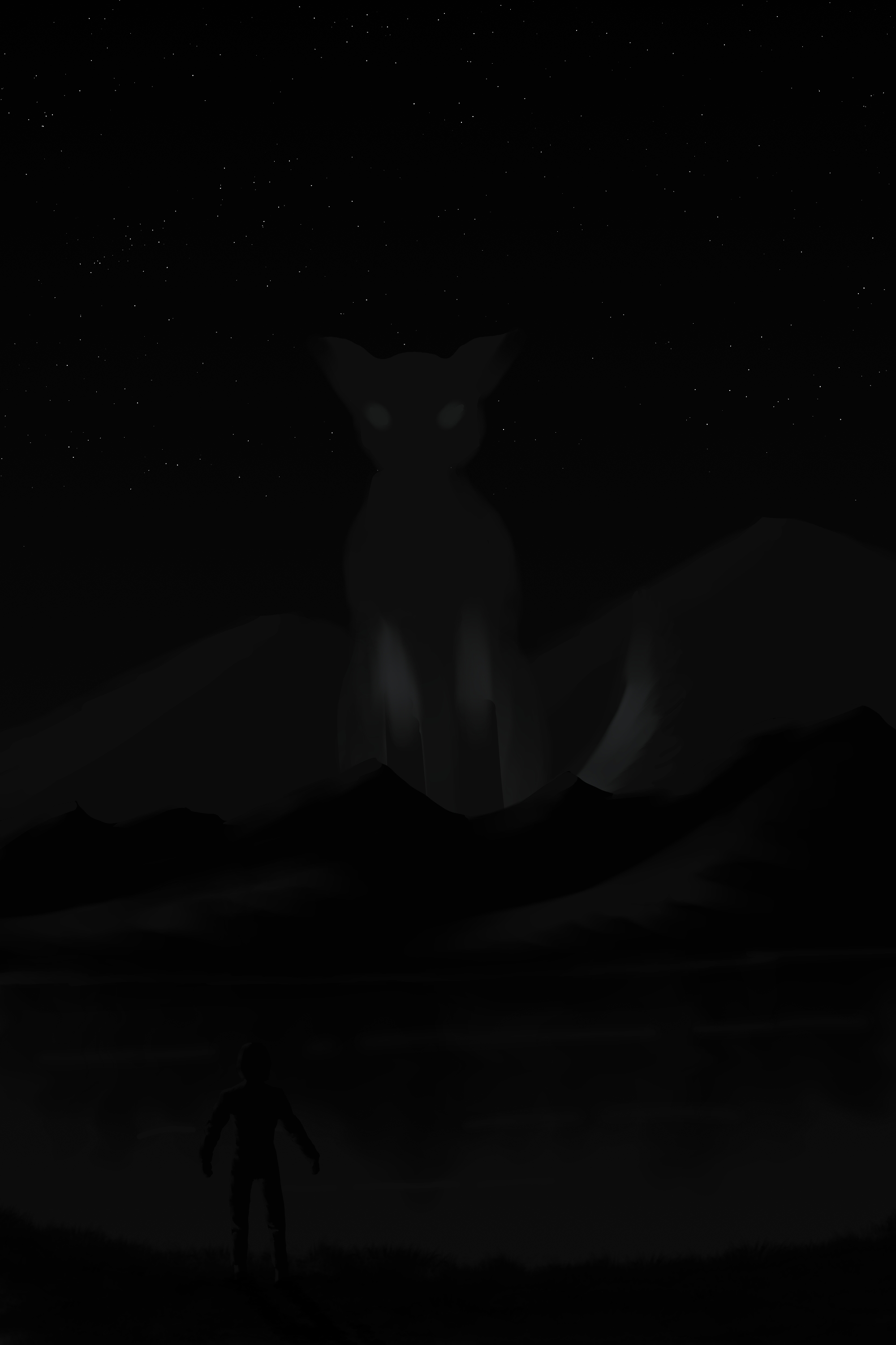 Fox Mountains Lake Water Stars Dark Black Men 2000x3000