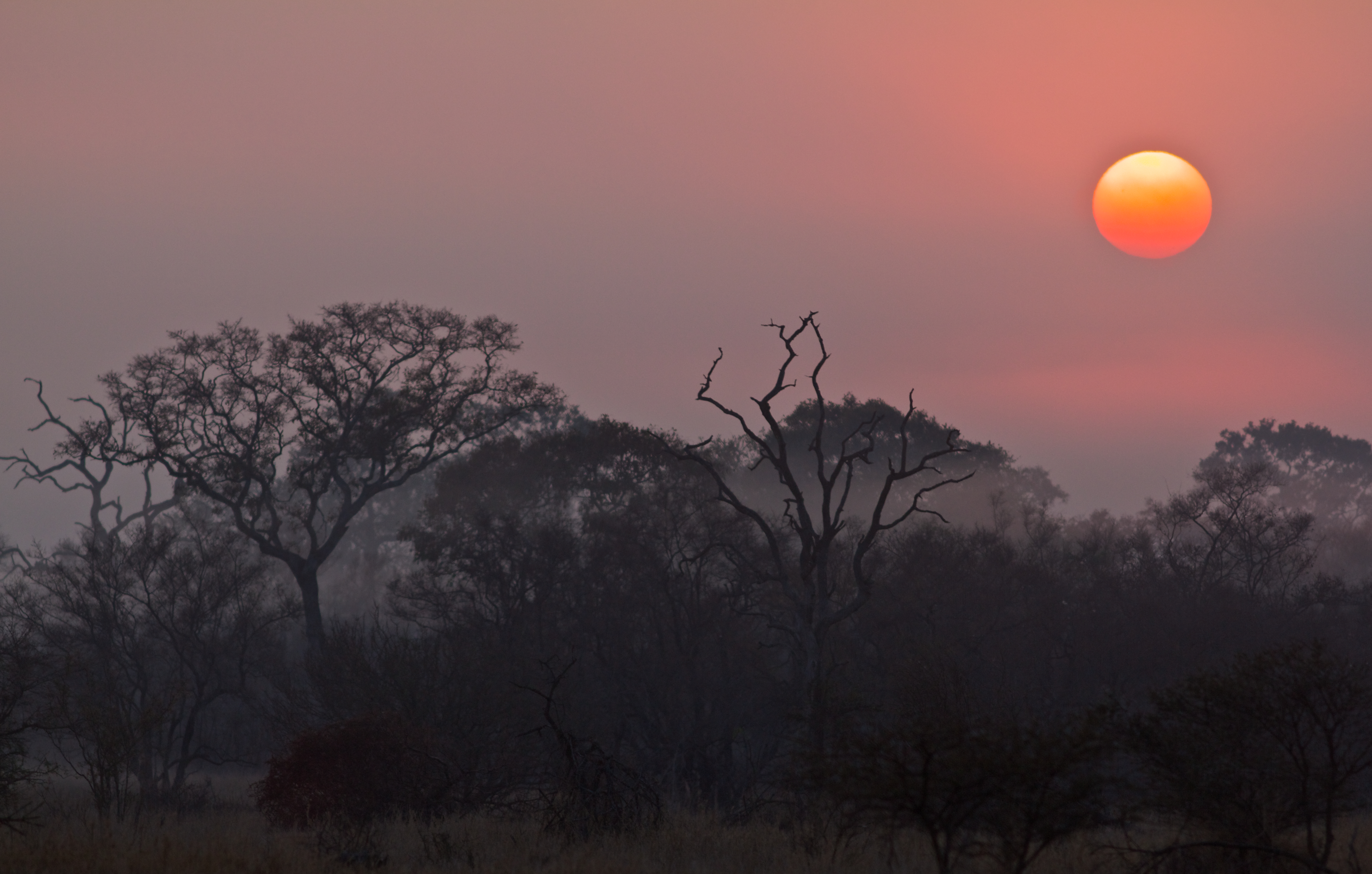 Sunrise Nature Kruger National Park 4865x3099