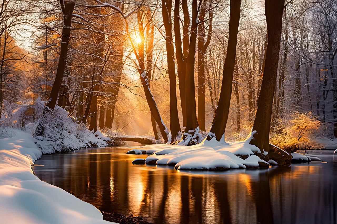 Nature Trees Water River Winter 1280x853