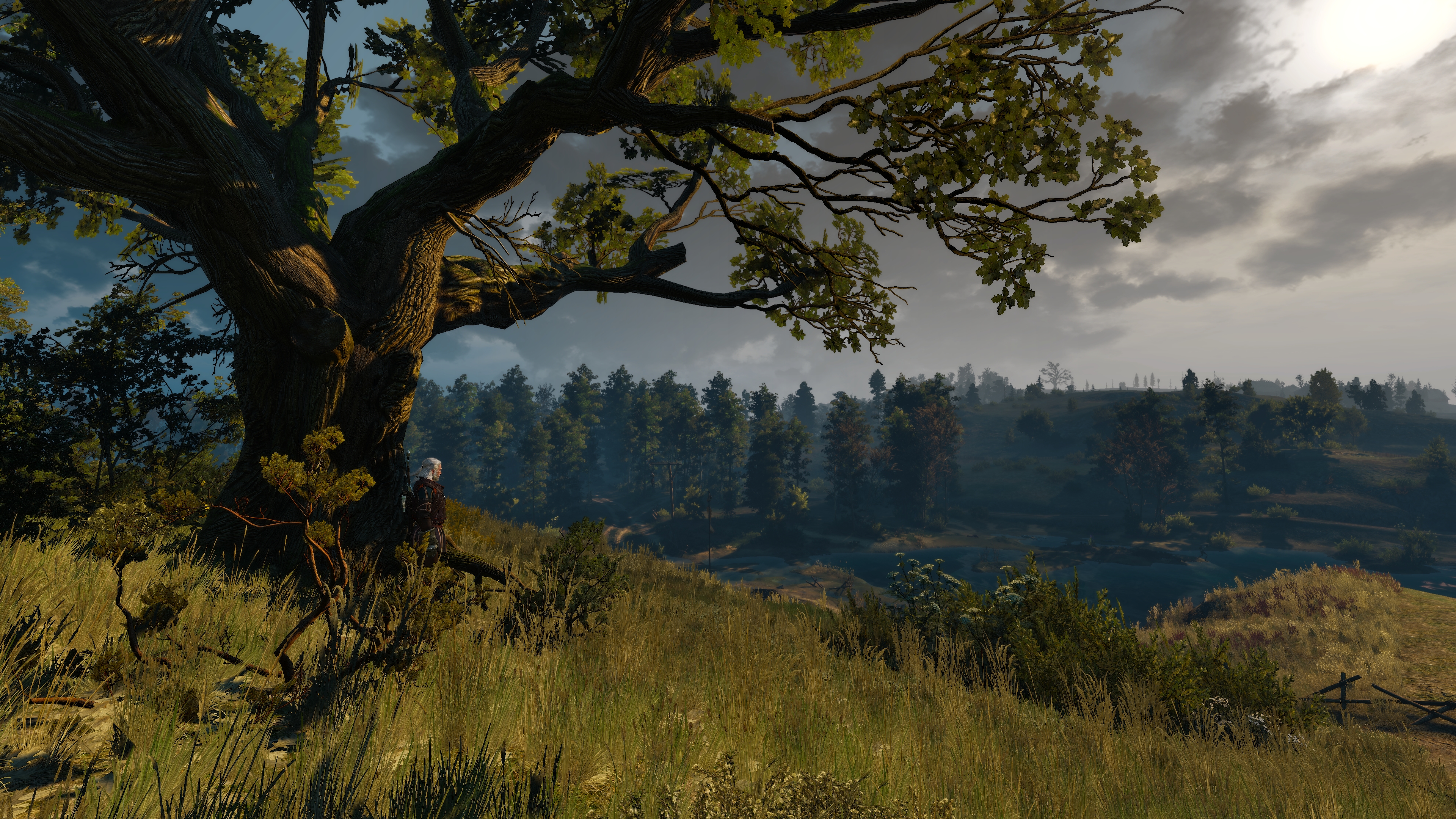 The Witcher 3 Wild Hunt Screen Shot Video Games Trees Geralt Of Rivia Deer Dawn Sunlight The Witcher 3840x2160