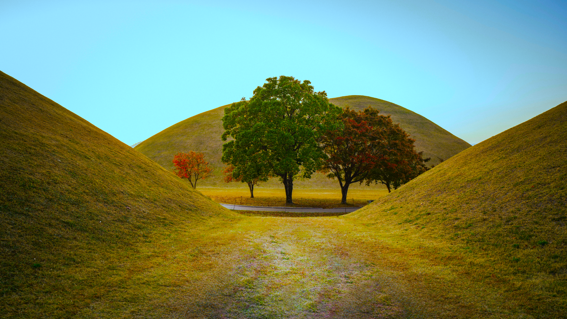 Nature Landscape Trees Hills Grass Road Sky Seoul South Korea 1920x1080