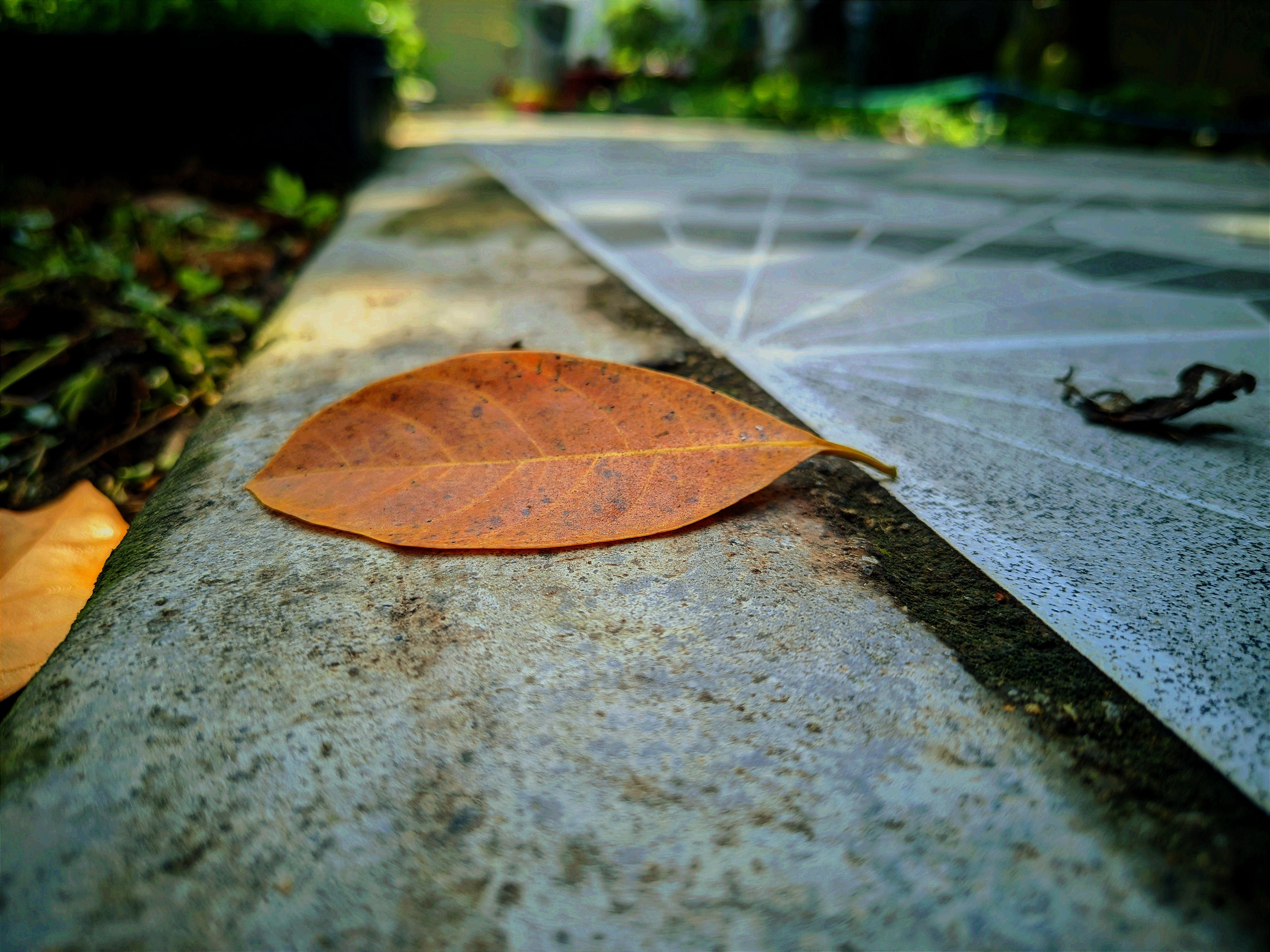 Leaves Fallen Leaves Brown Stone Floor On The Floor Depth Of Field Bokeh 4096x3072