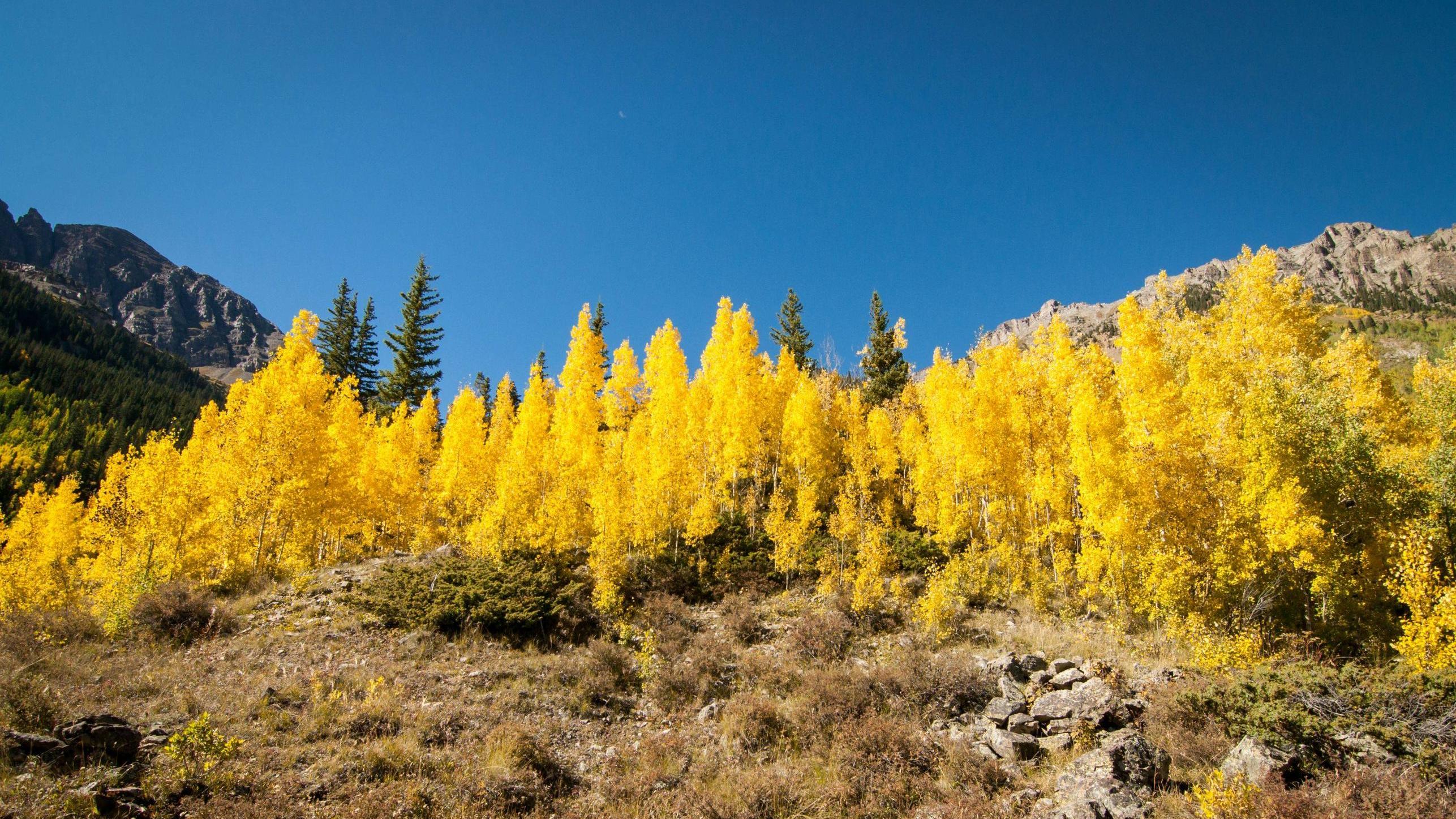 Aspen Mountains Nature Landscape 2573x1447