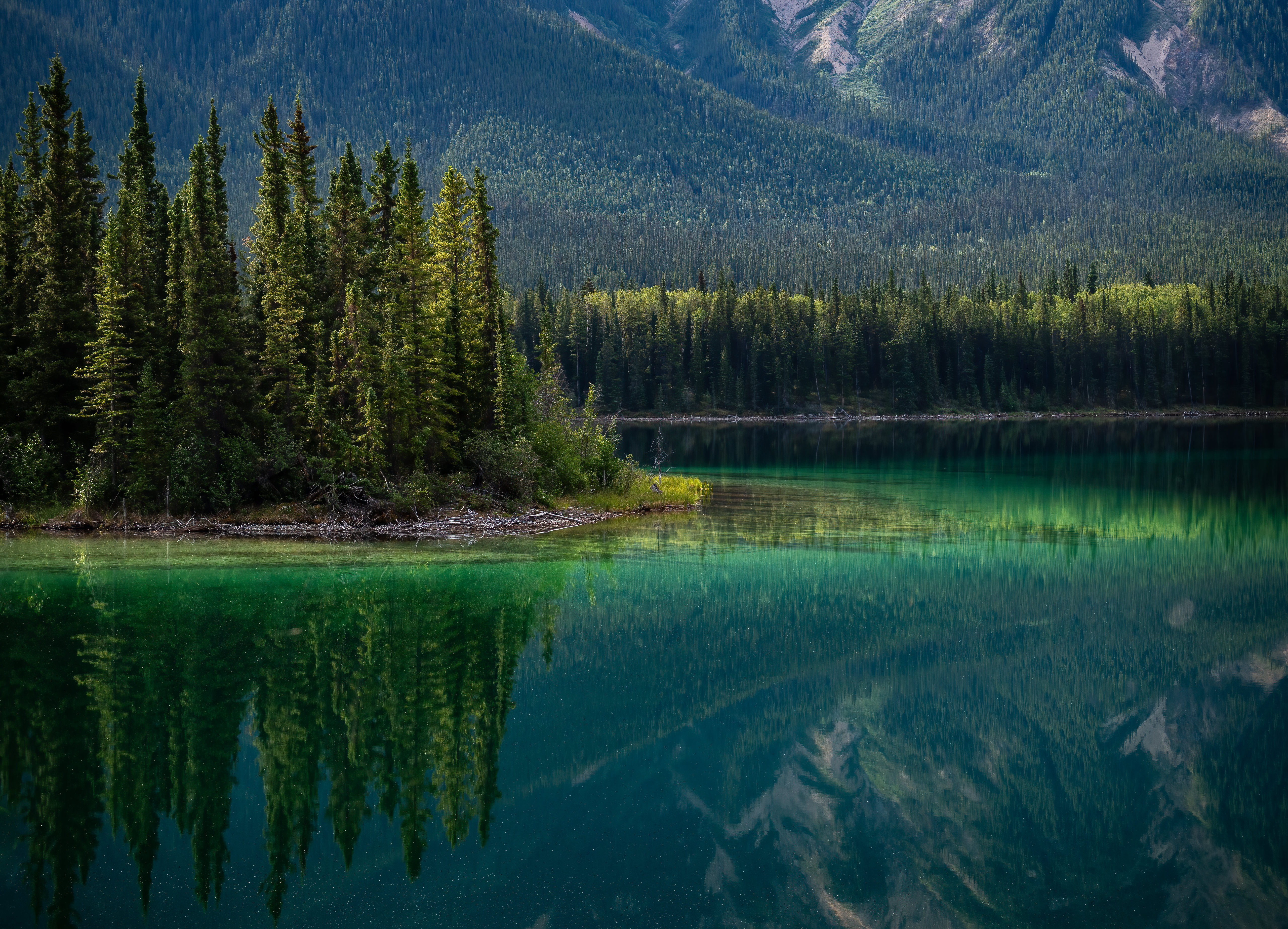 Nature Landscape Trees Water Reflection Forest Mountains Pine Trees Jasper National Park Canada 5120x3692