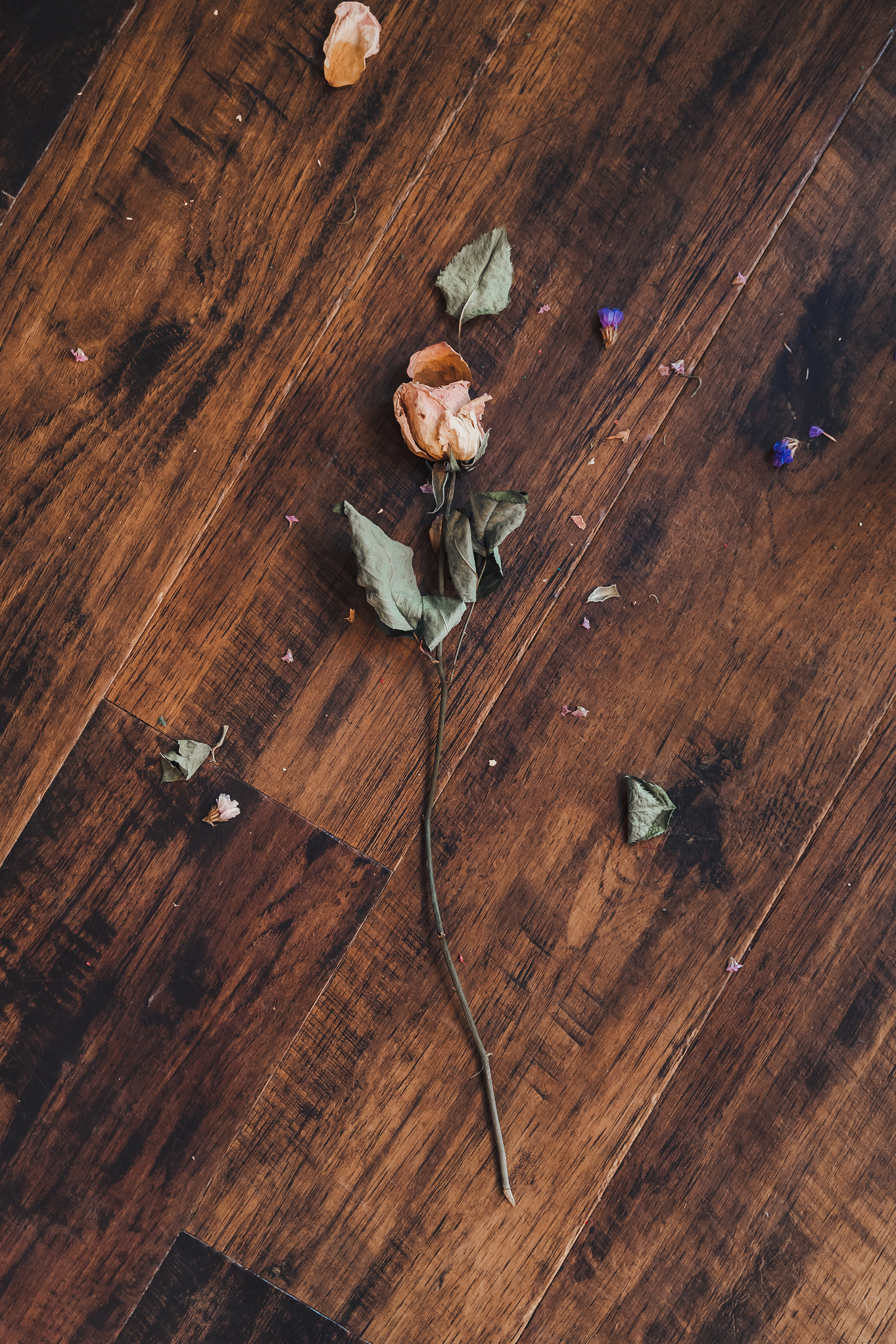 Dead Flower Wooden Floor Rose 1600x2400