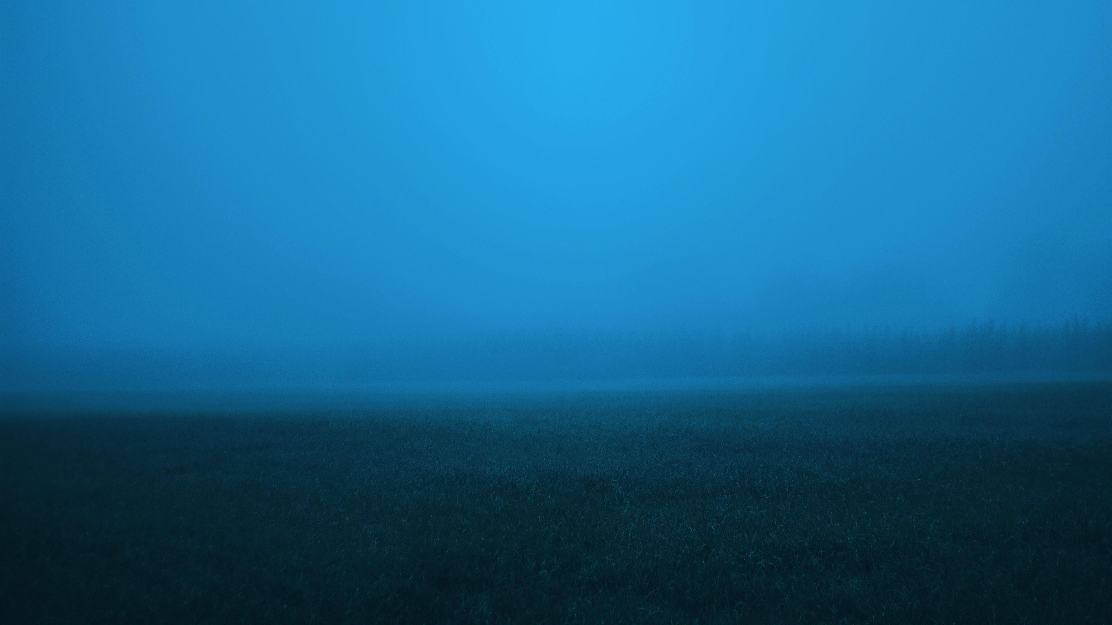 Mist Grass Fog Trees Photoshopped Calm 3840x2160