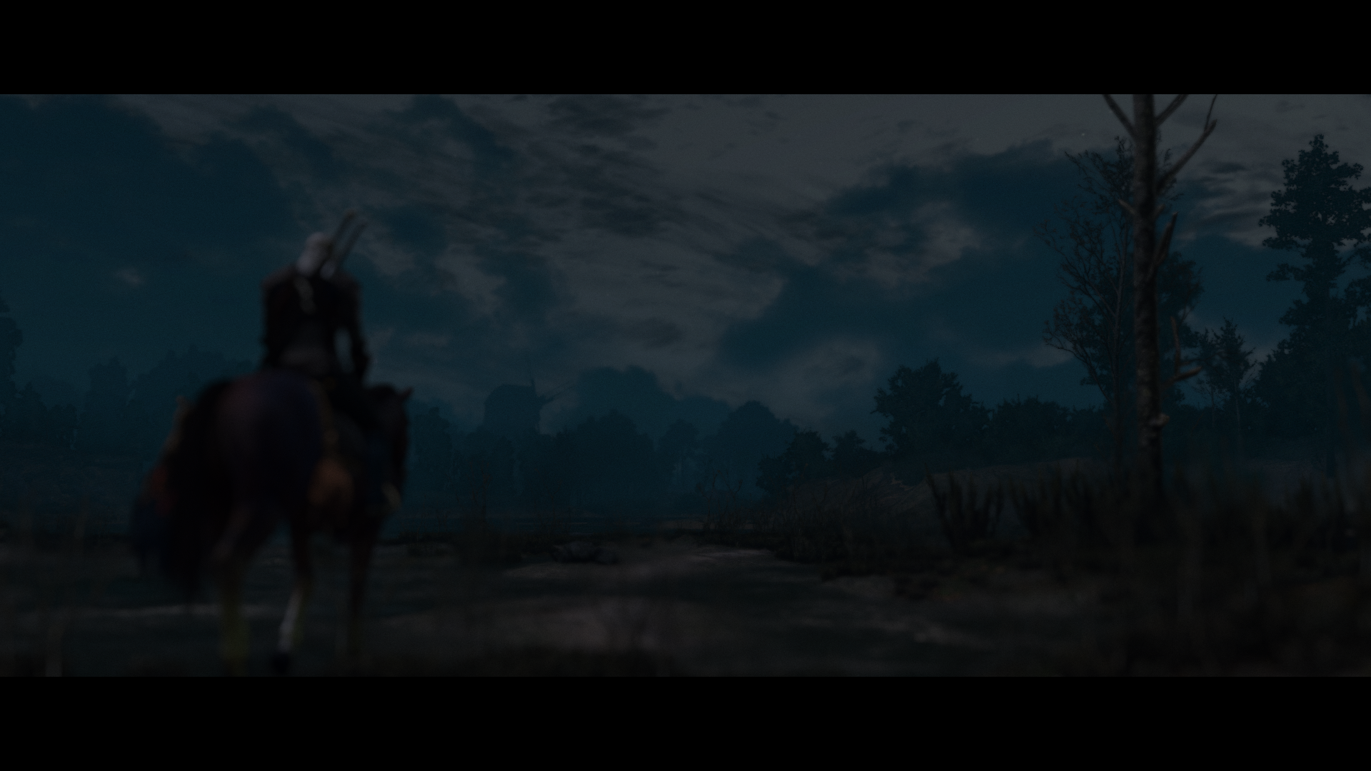 The Witcher 3 Wild Hunt Screen Shot Video Games Video Game Characters Geralt Of Rivia CD Projekt RED 1920x1080