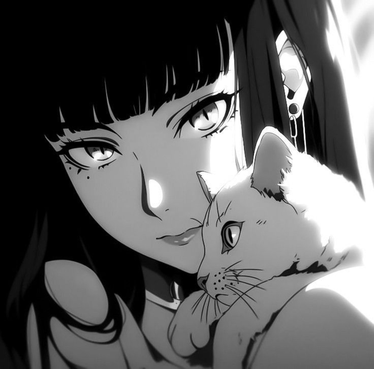 Anime Girls Monochrome Black Hair Cats Looking At Viewer 1280x1263