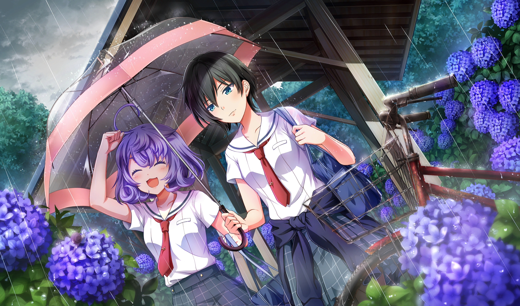 Anime Girls Flowers Rain 2048x1205