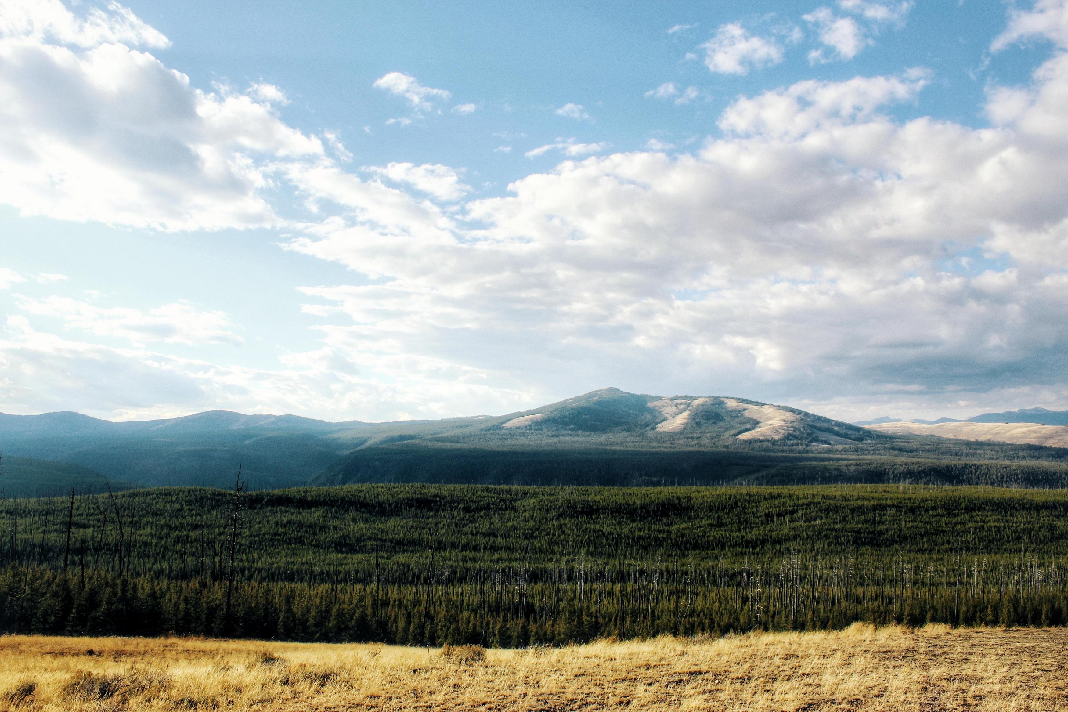 Nature Clouds Landscape Field Forest Mountains Yellowstone National Park USA North America Wyoming 3500x2333