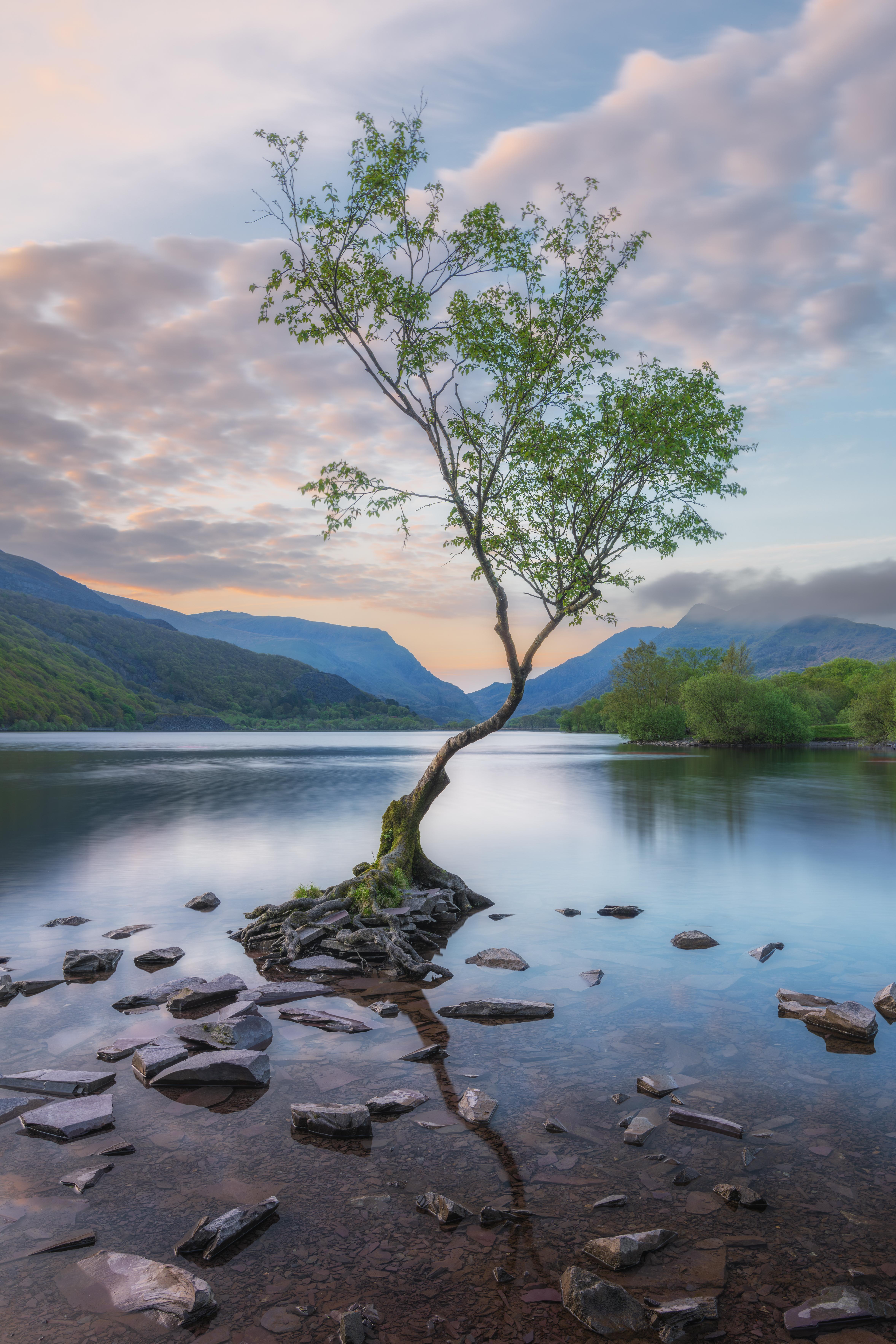 Lake Forest Clouds Trees Nature Landscape Rocks Reflection Wales UK Europe Portrait Display 4711x7066