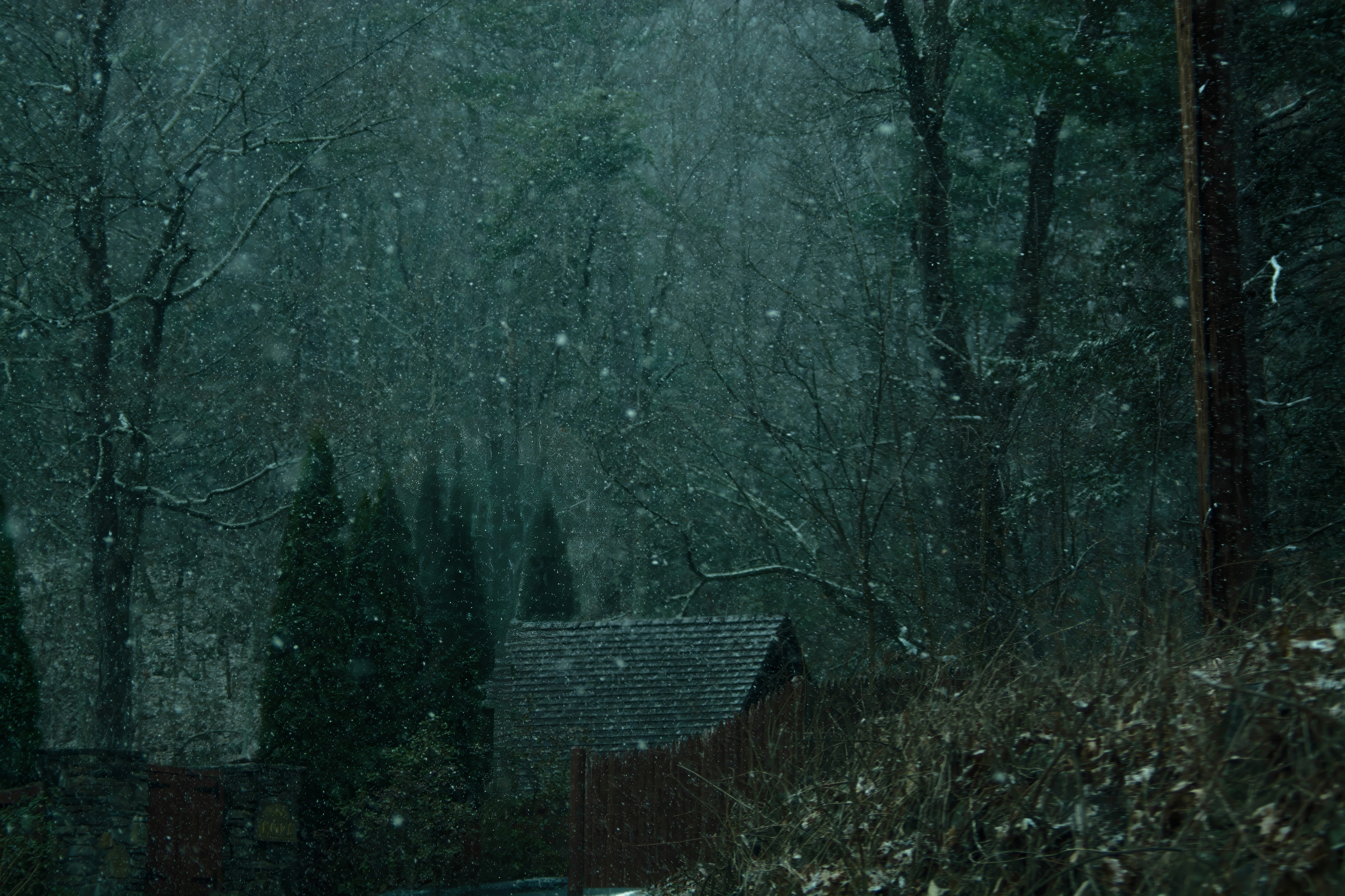 Forest Snowflakes Trees Cabin Dark Wood Fence Nature Landscape 6000x4000