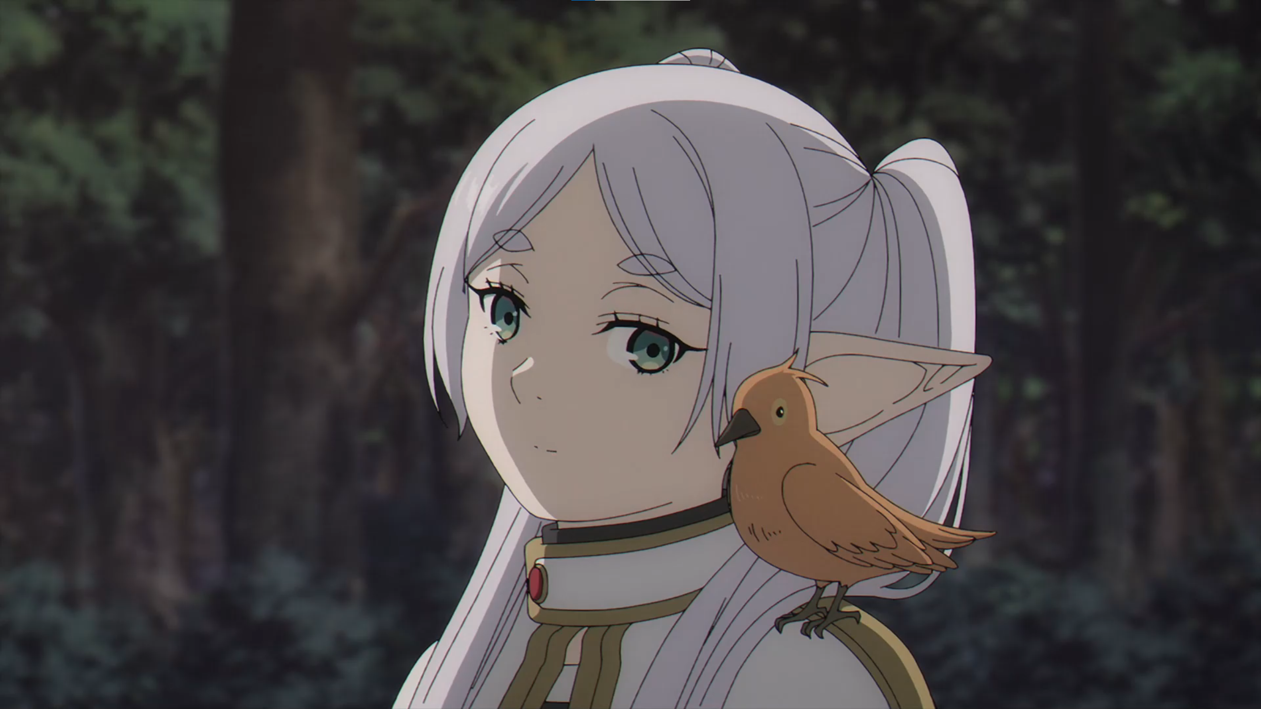 Sousou No Frieren Anime Screen Shot Elven Birds Pointy Ears Frieren Twintails 2560x1440