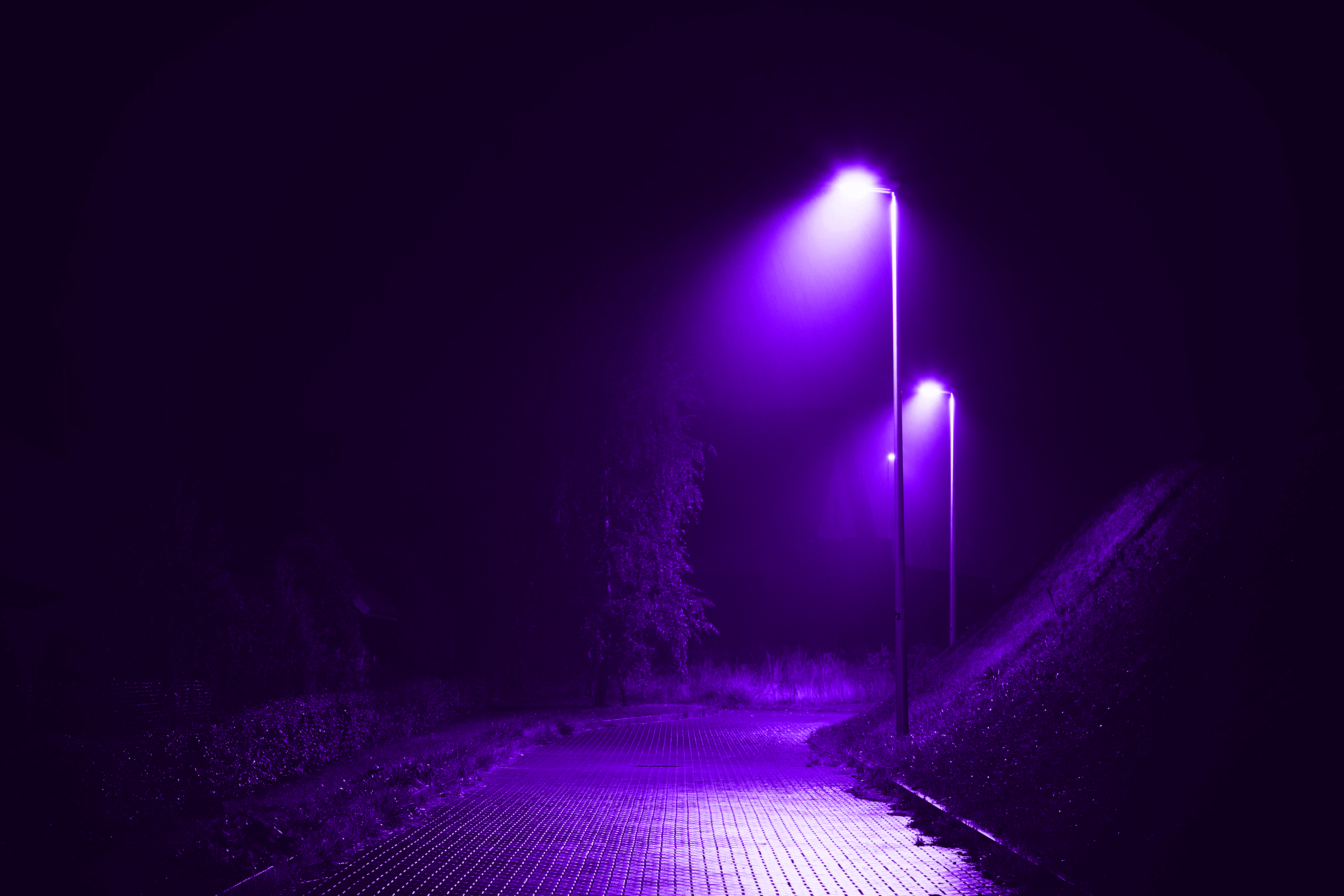 Night Street Light Purple Road Outdoors Filter 5310x3540