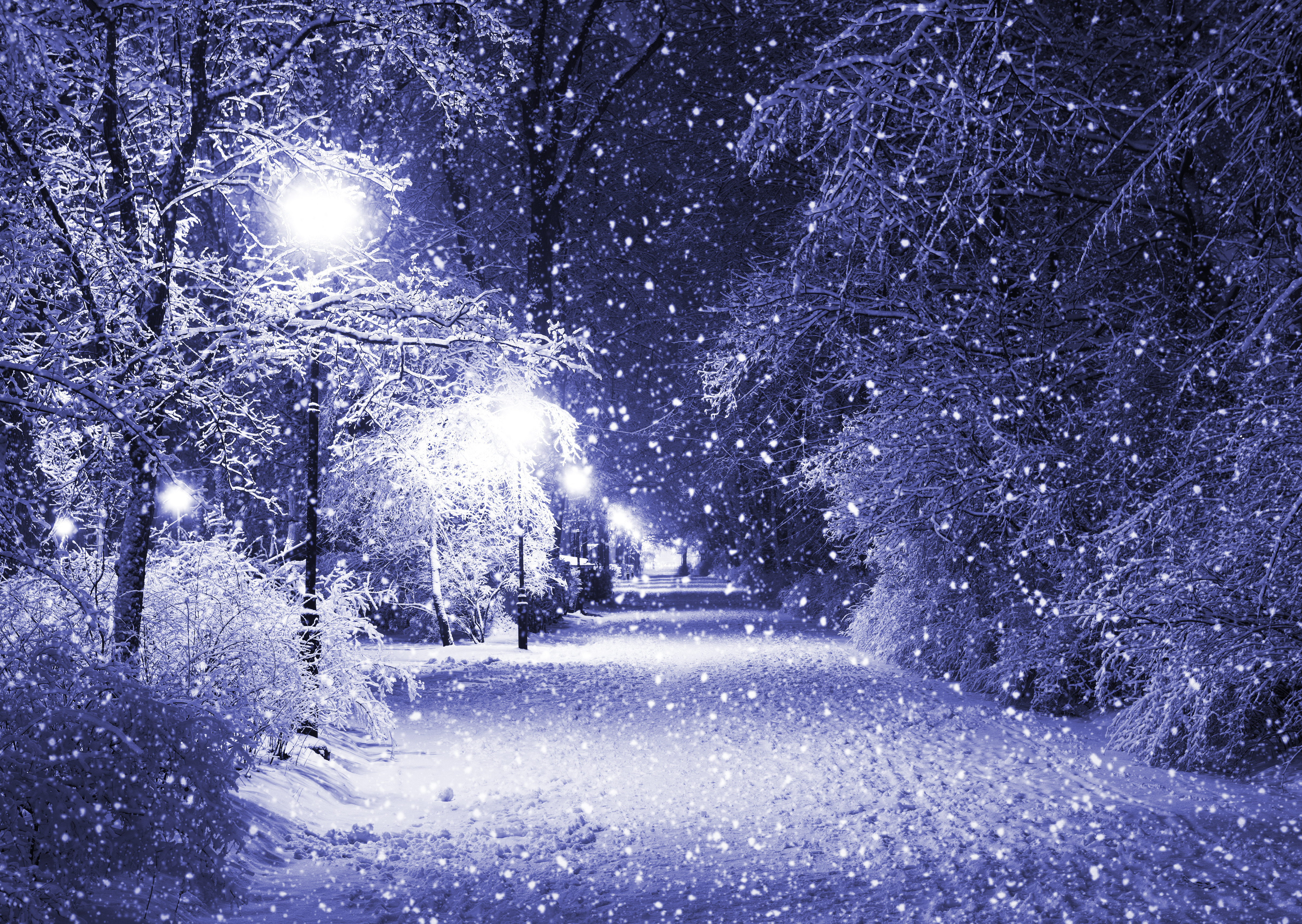 Snowflakes Winter Night Snow Path Lights Trees Bright 4820x3421
