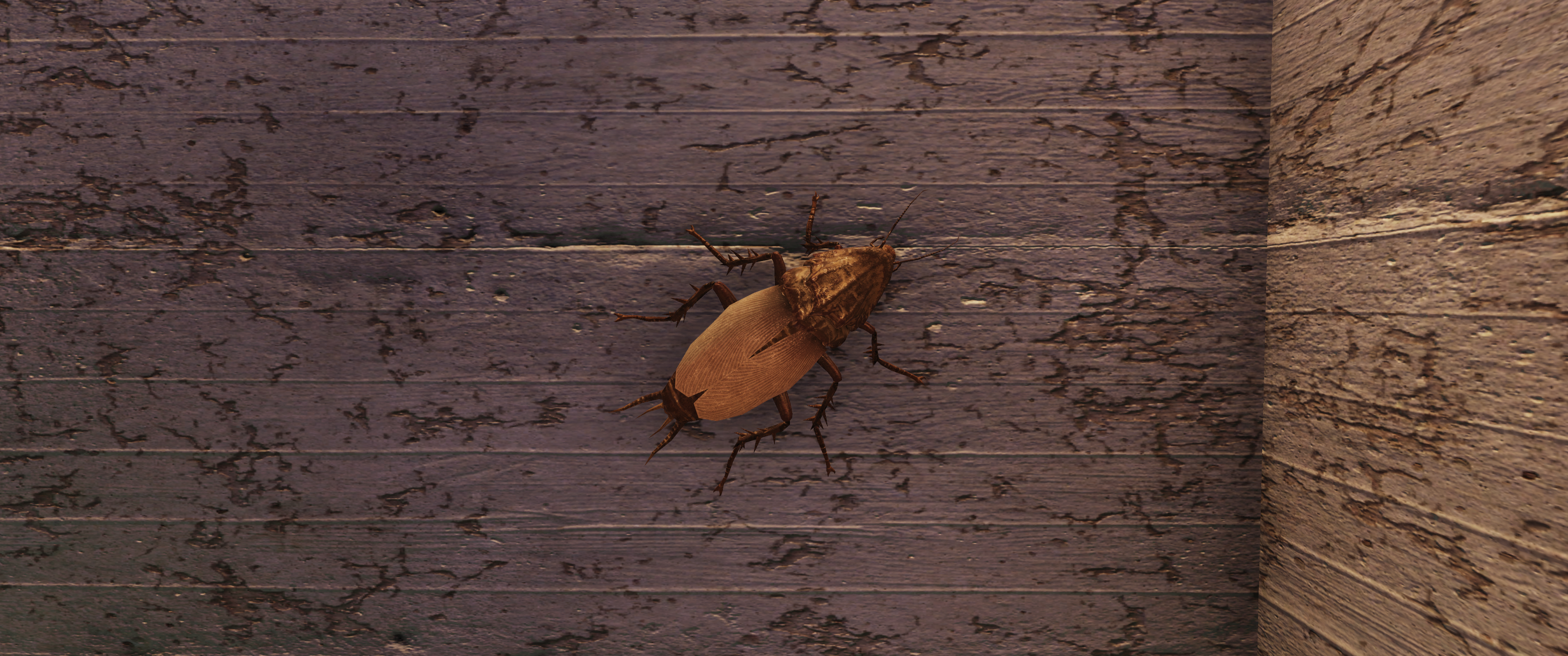 Fallout 76 Fallout Cockroaches Screen Shot 3440x1440