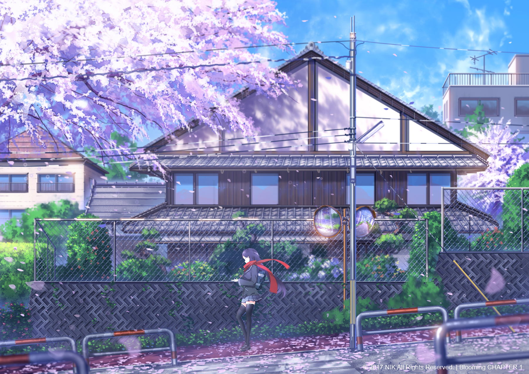 Anime Artwork Street Sakura Trees Anime Girls Japan 1800x1273