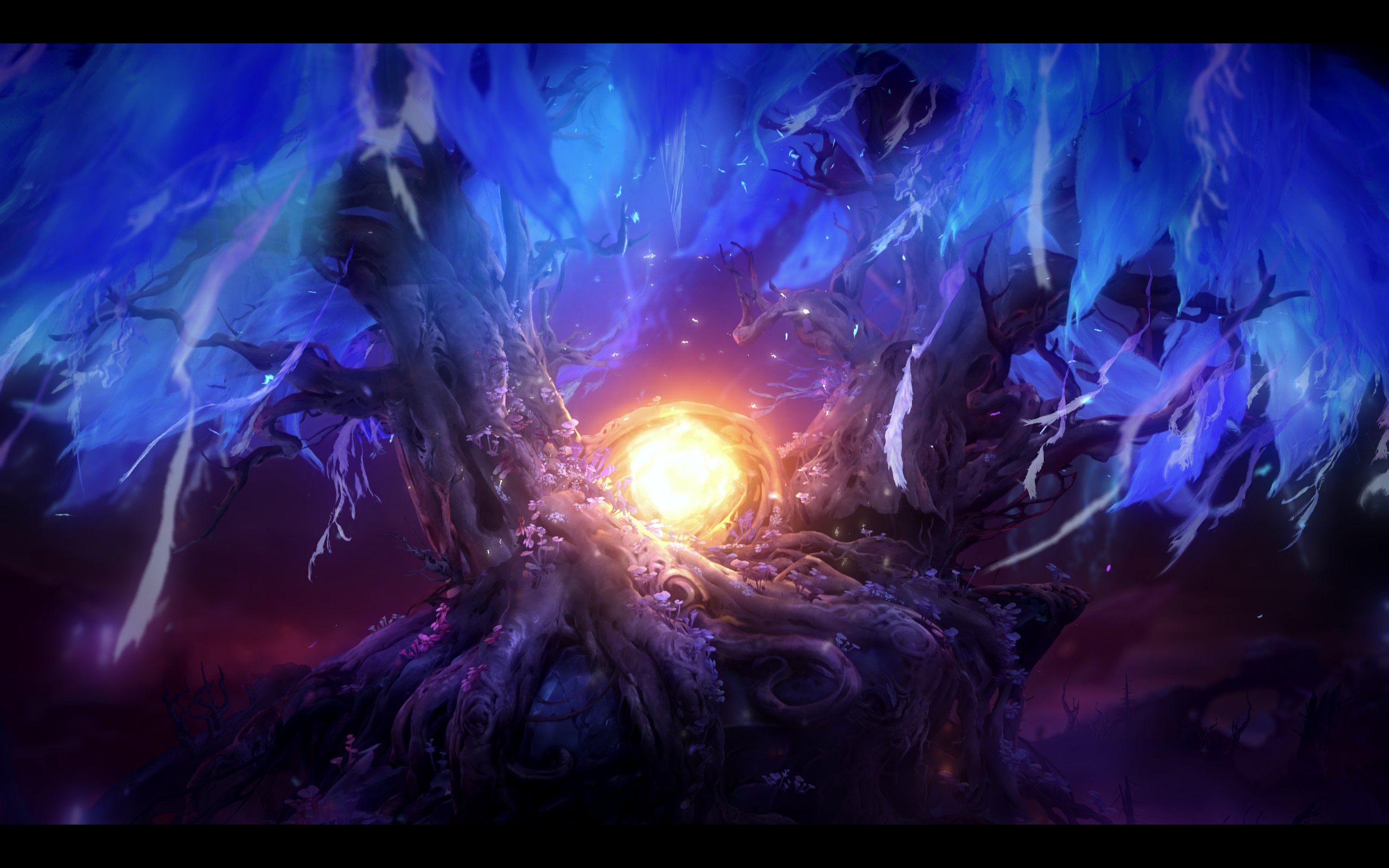 Ori Ori And The Will Of The Wisps Video Games 2560x1600