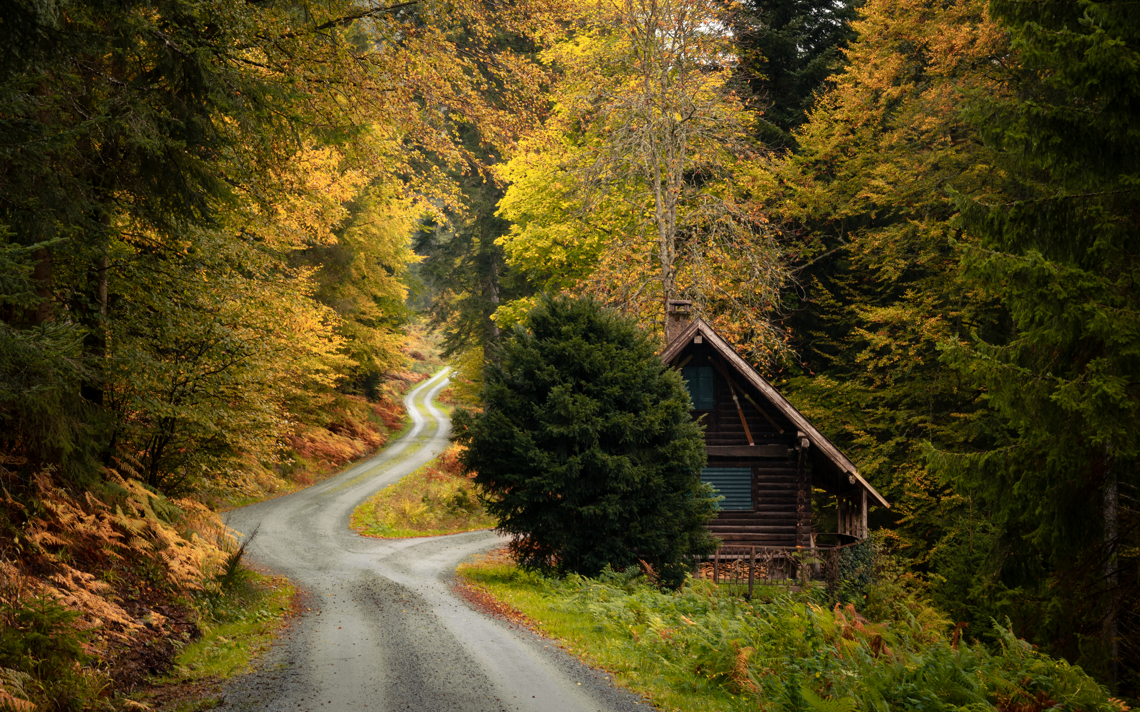 Nature Road Fall Plants Trees Grass House Cabin Baden Wurttemberg Germany Guido De Kleijn 3840x2400