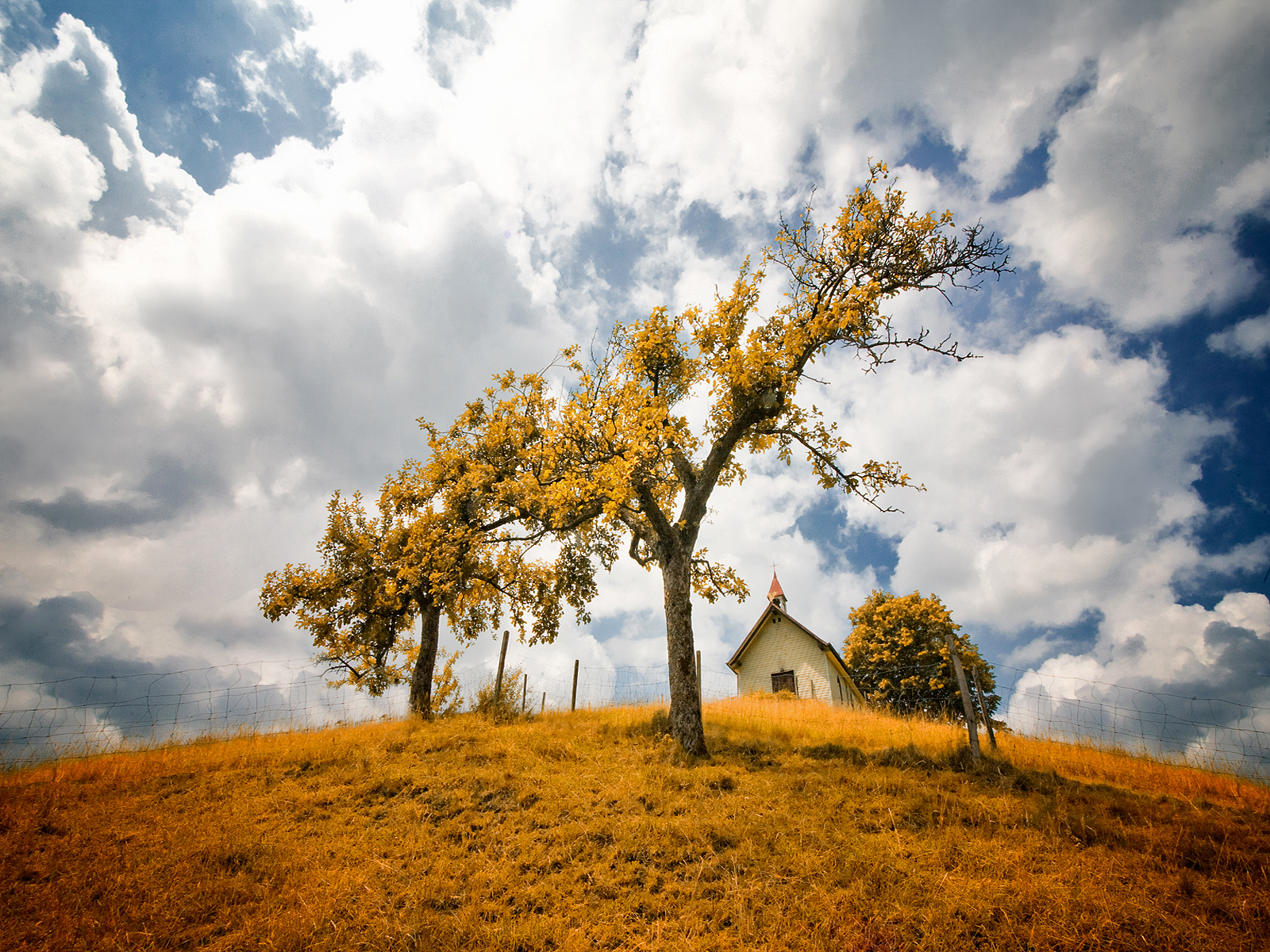 Trees House Grass Sky JendrynDV 1600x1200