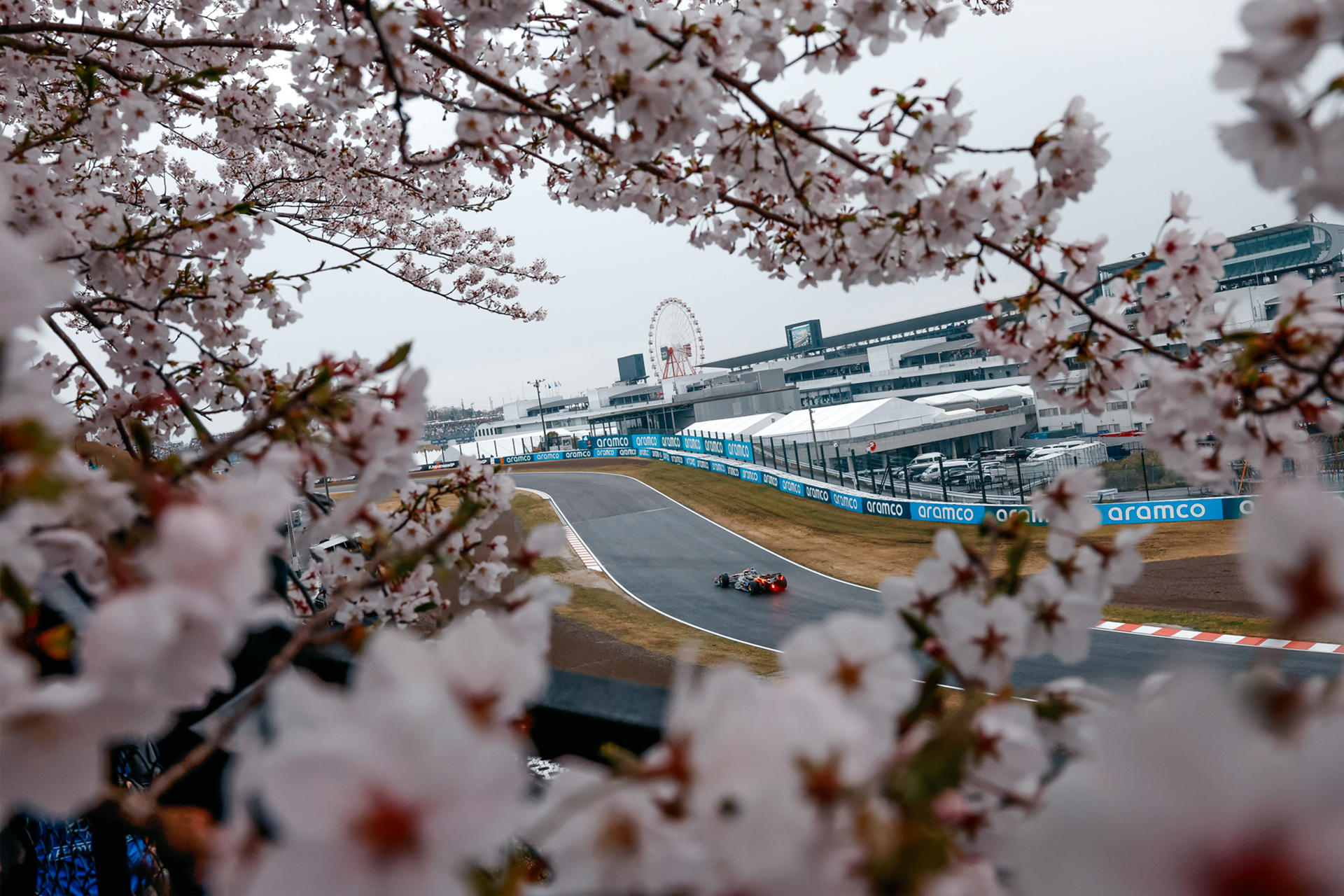 McLaren McLaren F1 Formula 1 Race Cars Suzuka Circuit Cherry Blossom 1920x1280