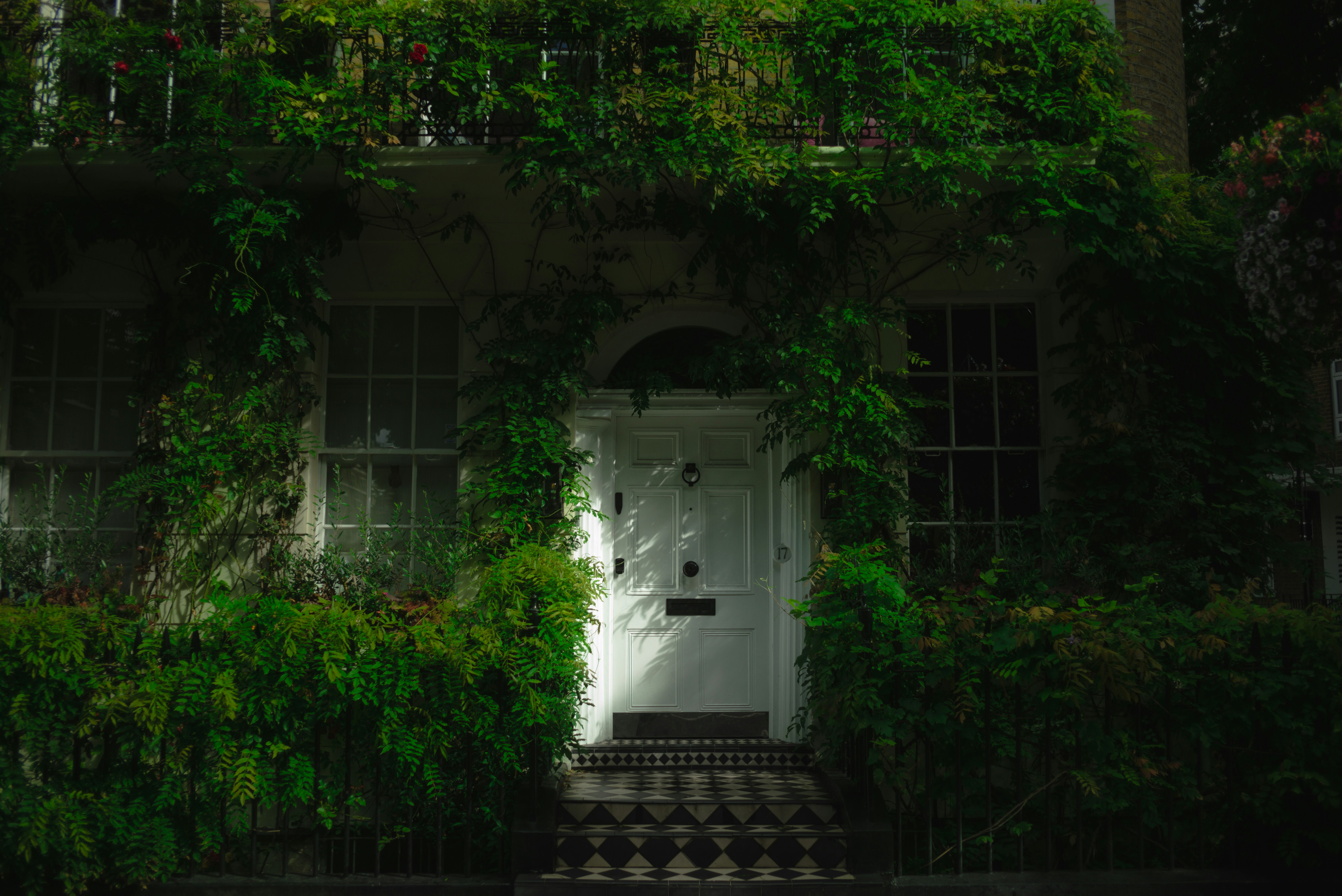 Nature Plants Leaves Foliage Door Flowers Window Frames House Iron Railing London UK 5976x3992