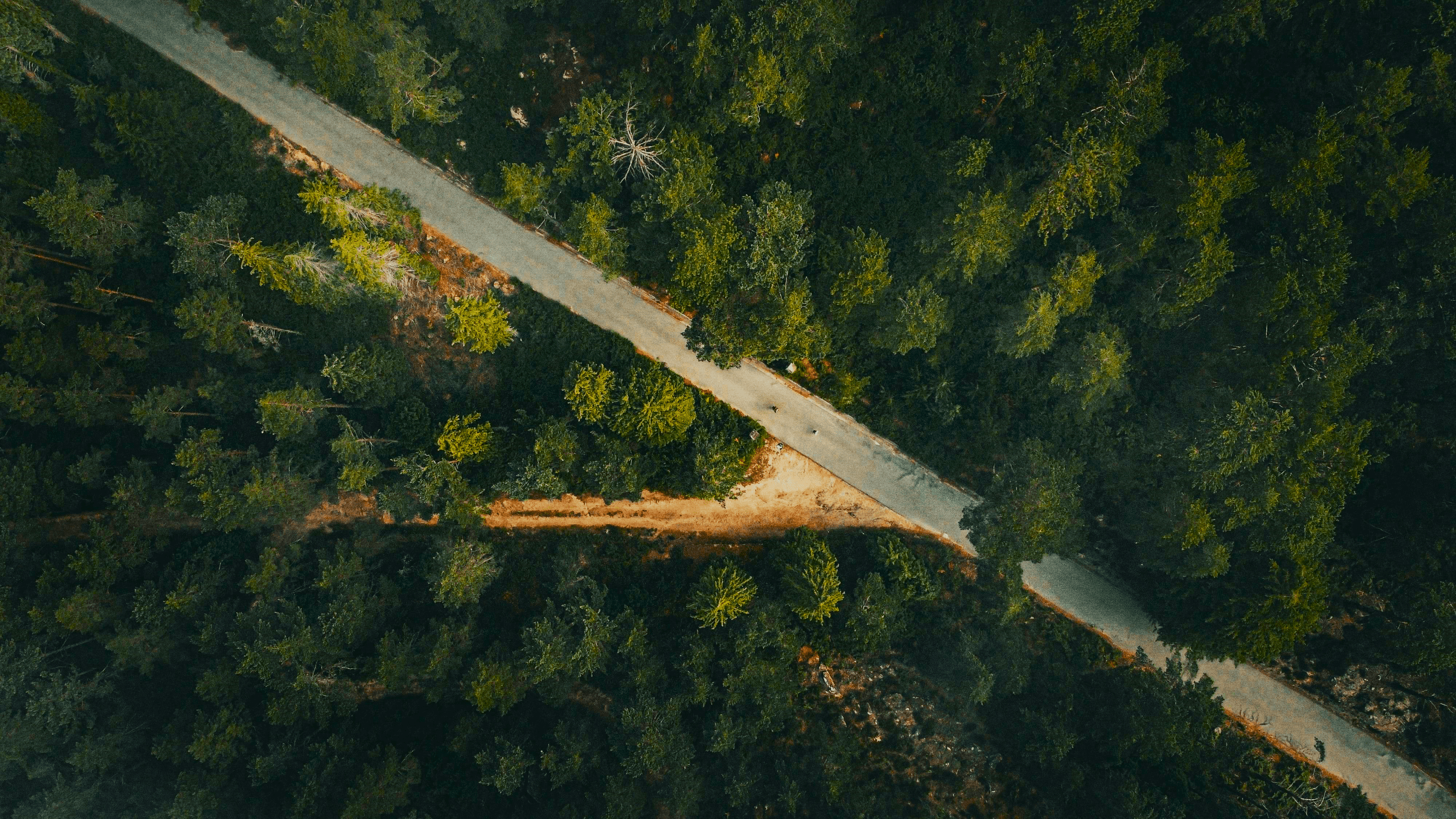 Nature Road Path Trees Forest Aerial View Portugal 2560x1440