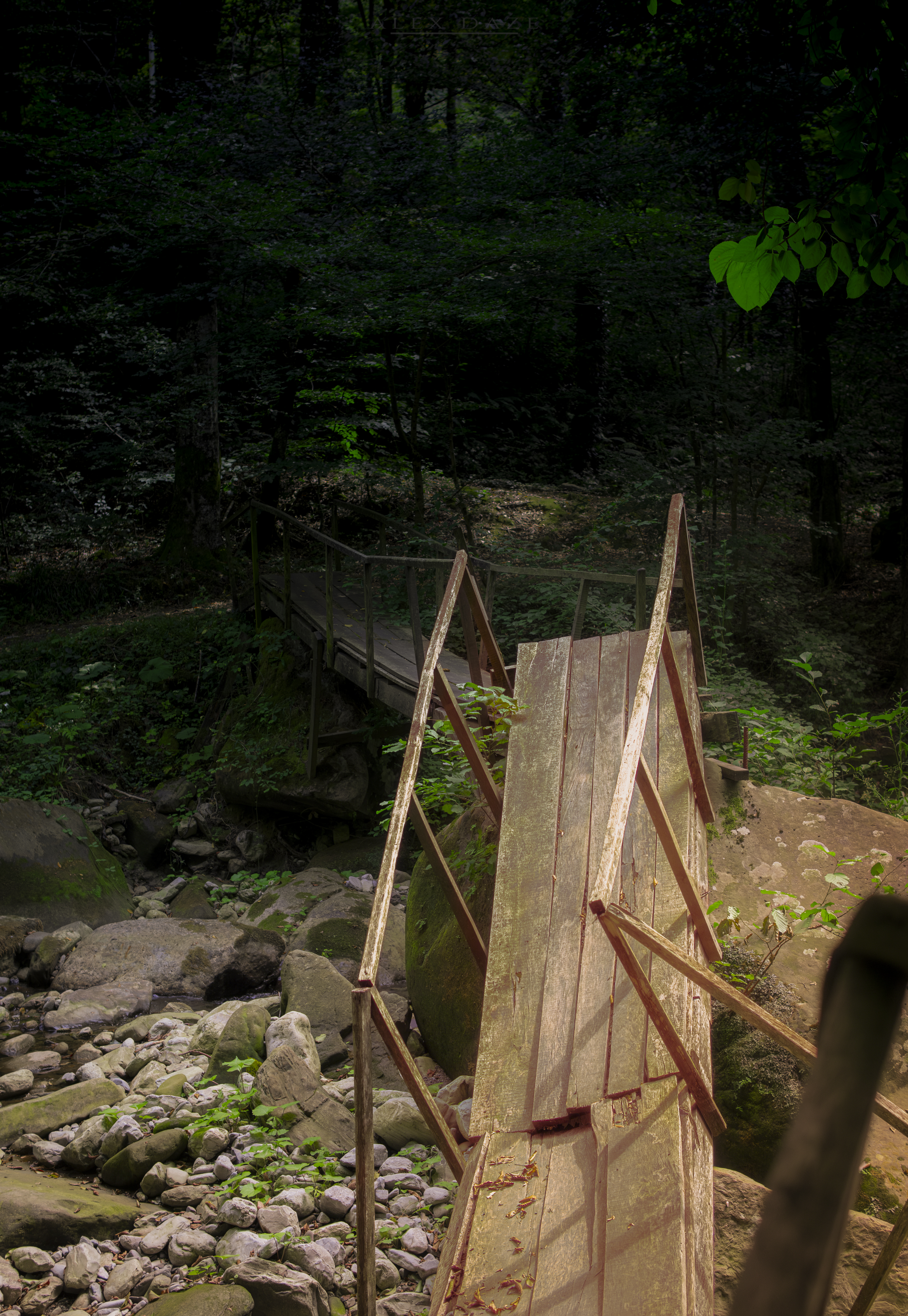 Photography Wooden Bridge Forest Trees Leaves Rocks 4100x5937