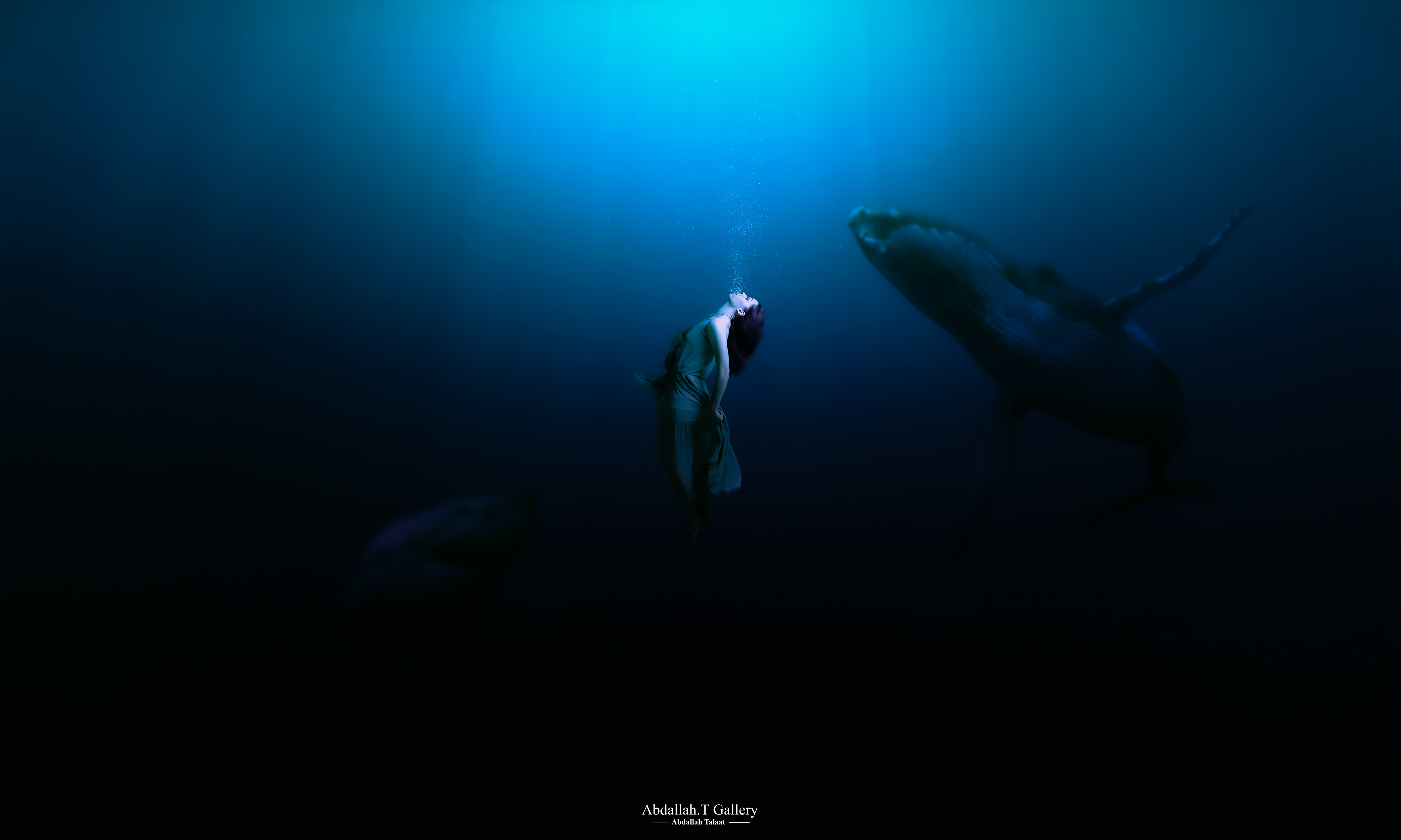 Ocean View Abdallah Talaat Whale Shark Deep Sea Sea Monsters Sinking Diving Fan Art Art Installation 5000x3000